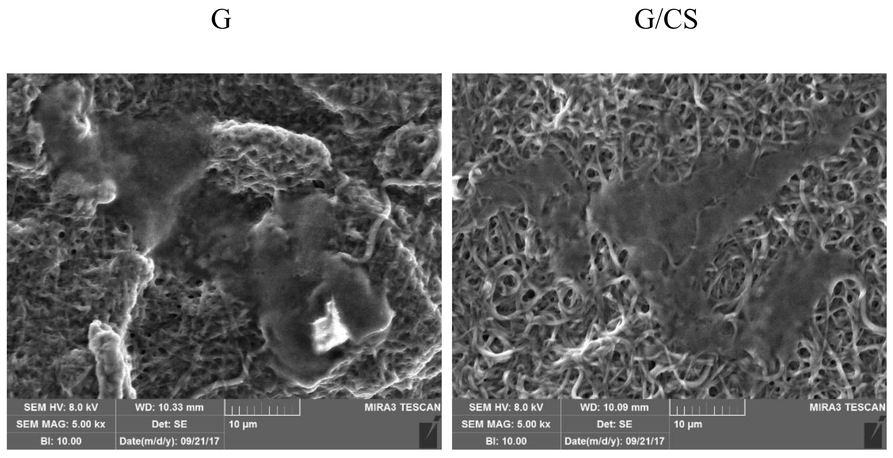Polymers 10 00208 g008 Polymers 10 00208 g008