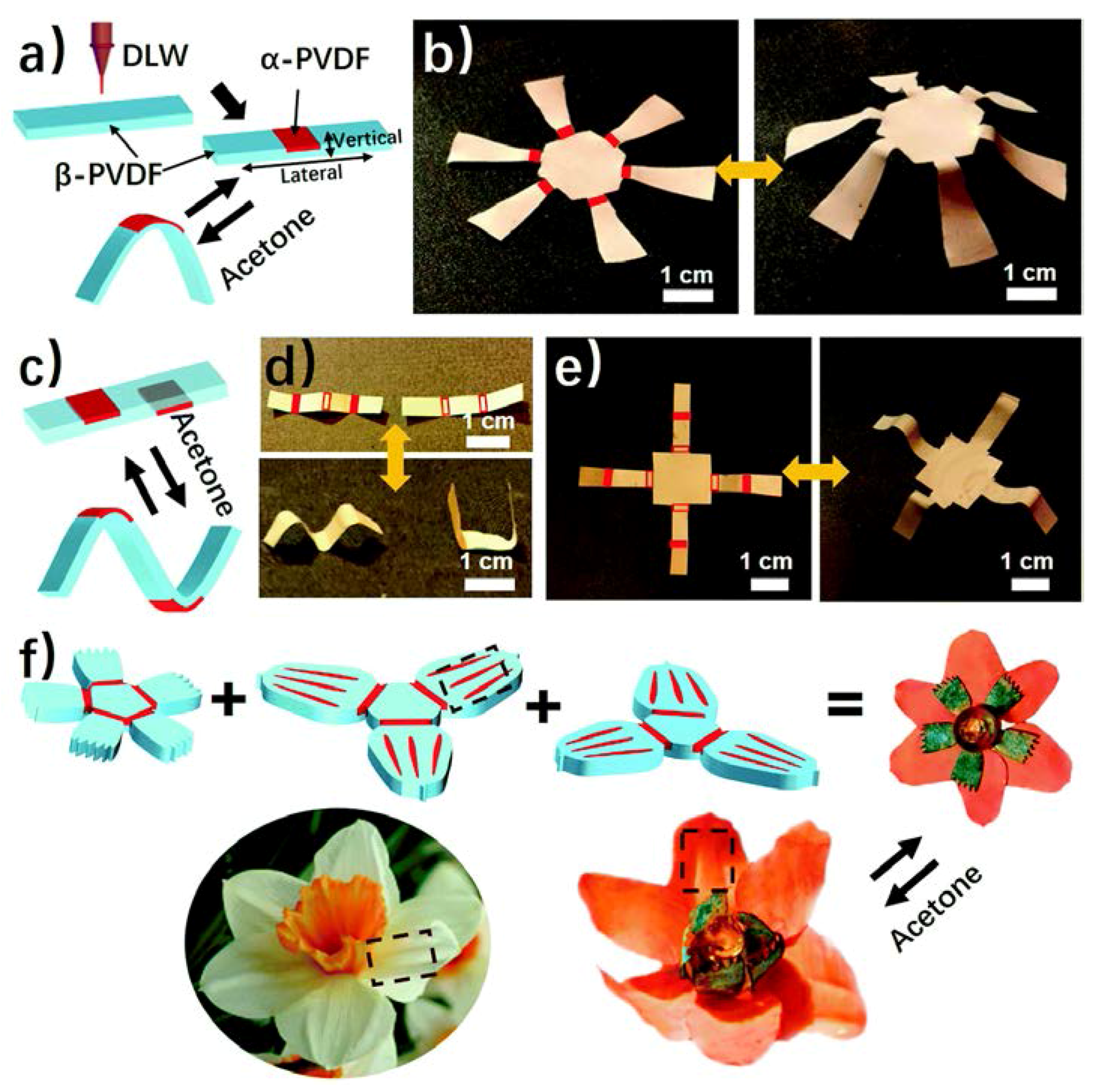 Polymers 10 00228 g017 Polymers 10 00228 g017