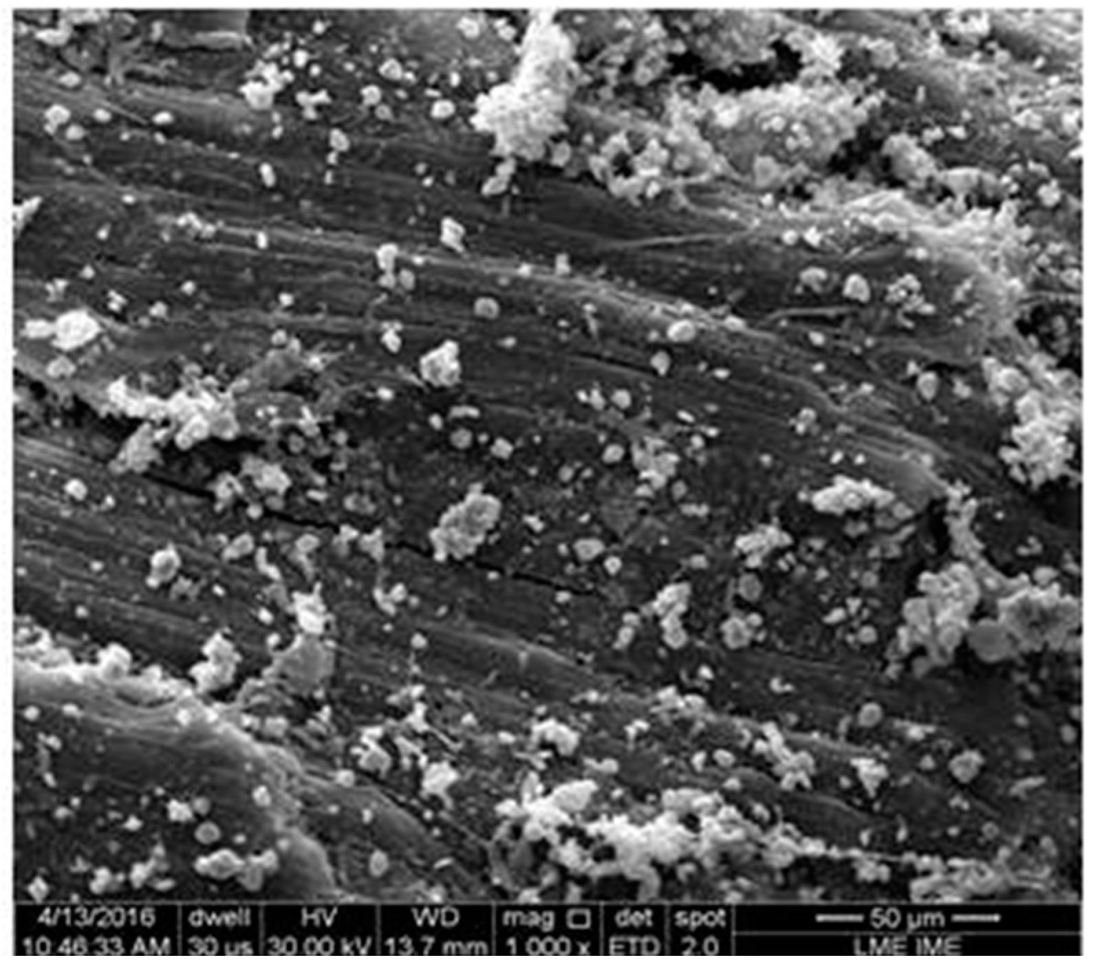 Polymers 10 00230 g006