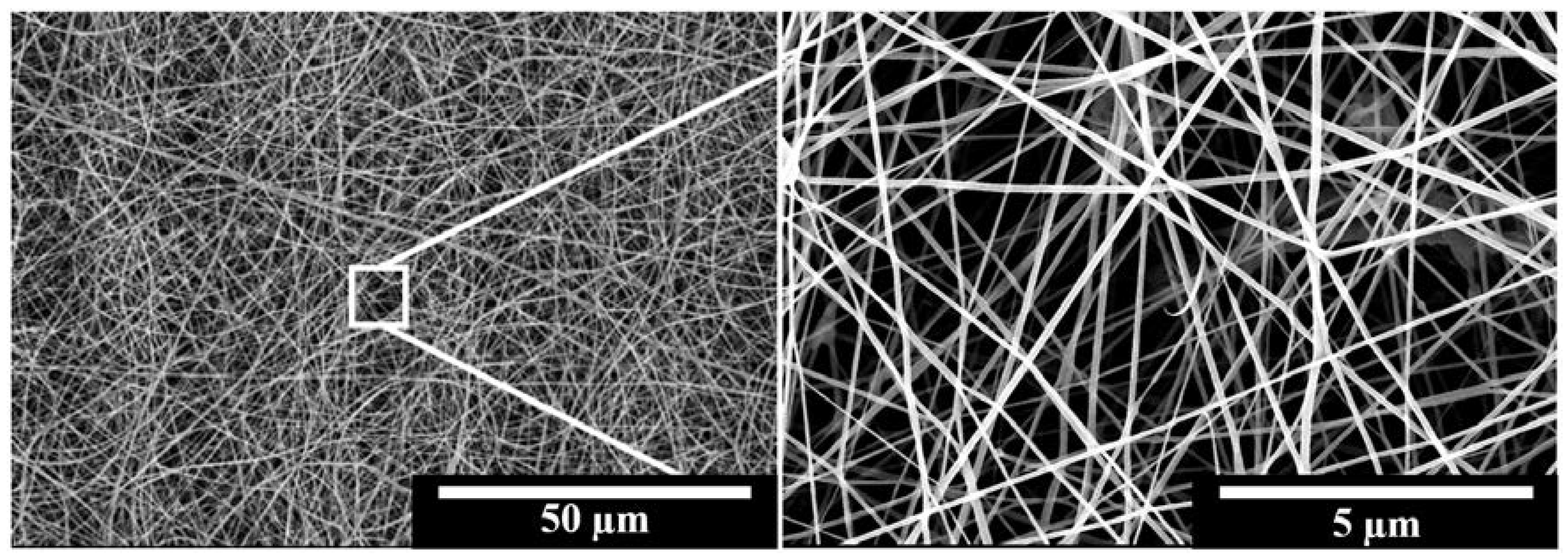 Polymers 10 00231 g005