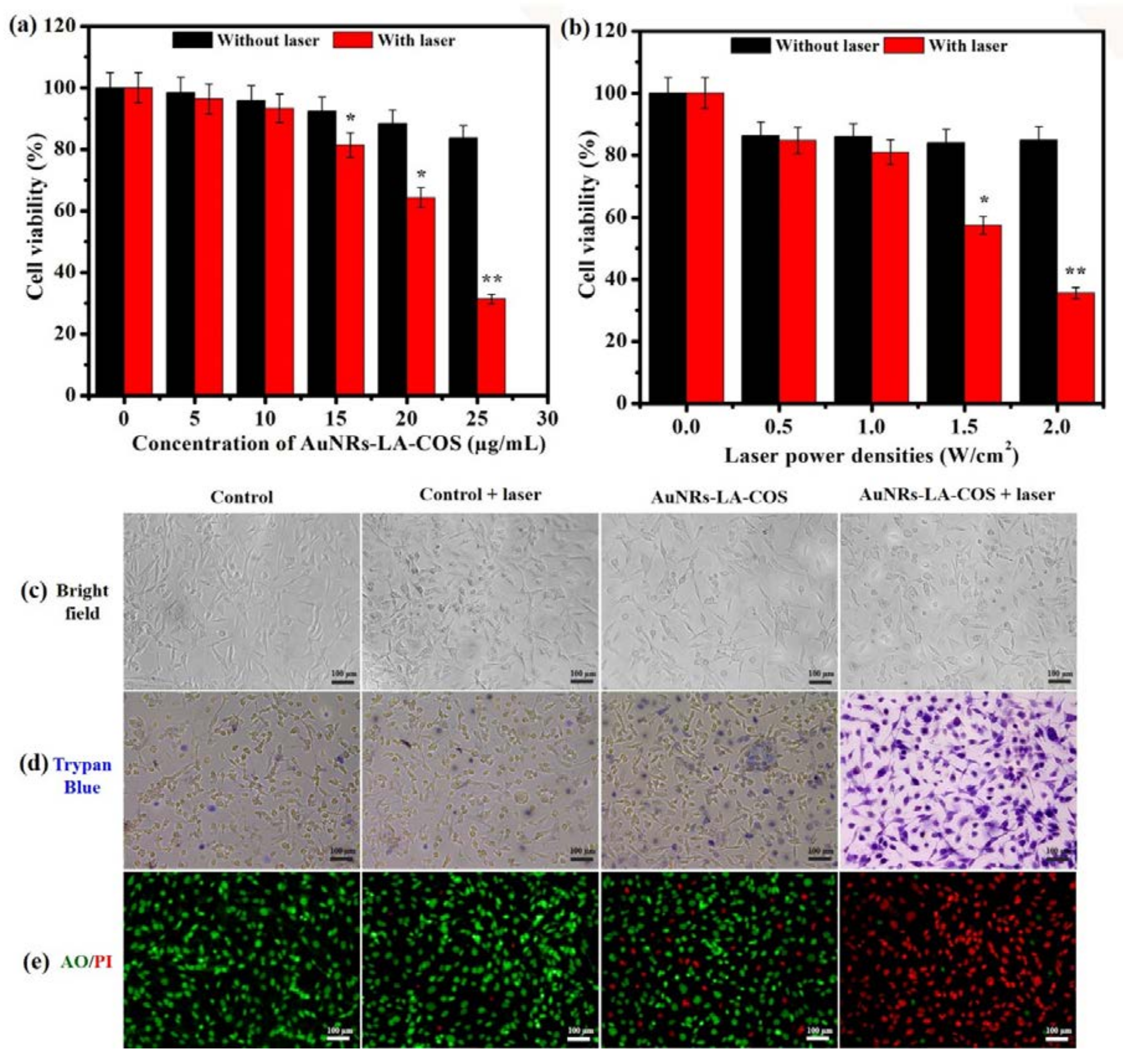 Polymers 10 00232 g004 Polymers 10 00232 g004