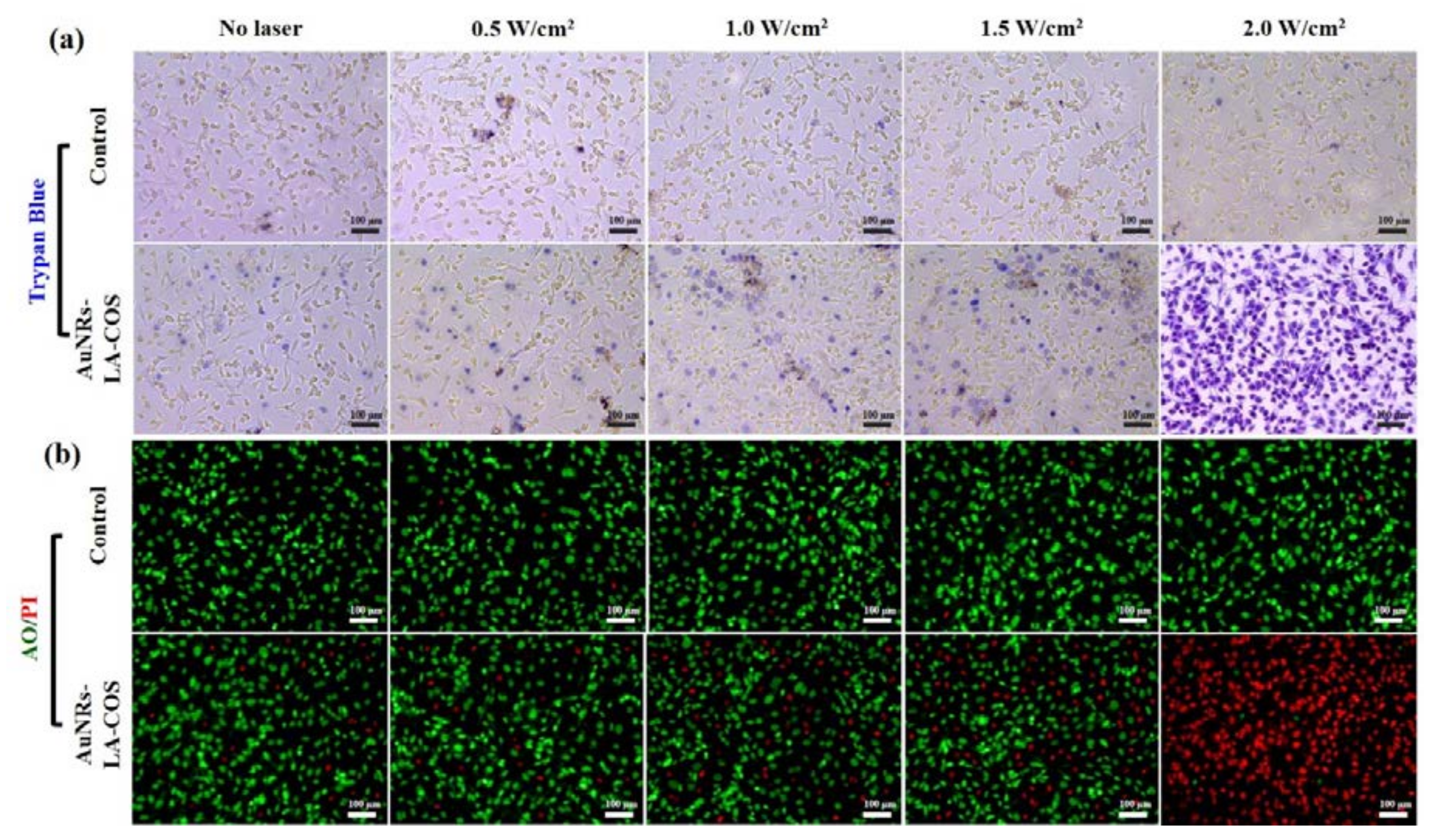 Polymers 10 00232 g005 Polymers 10 00232 g005