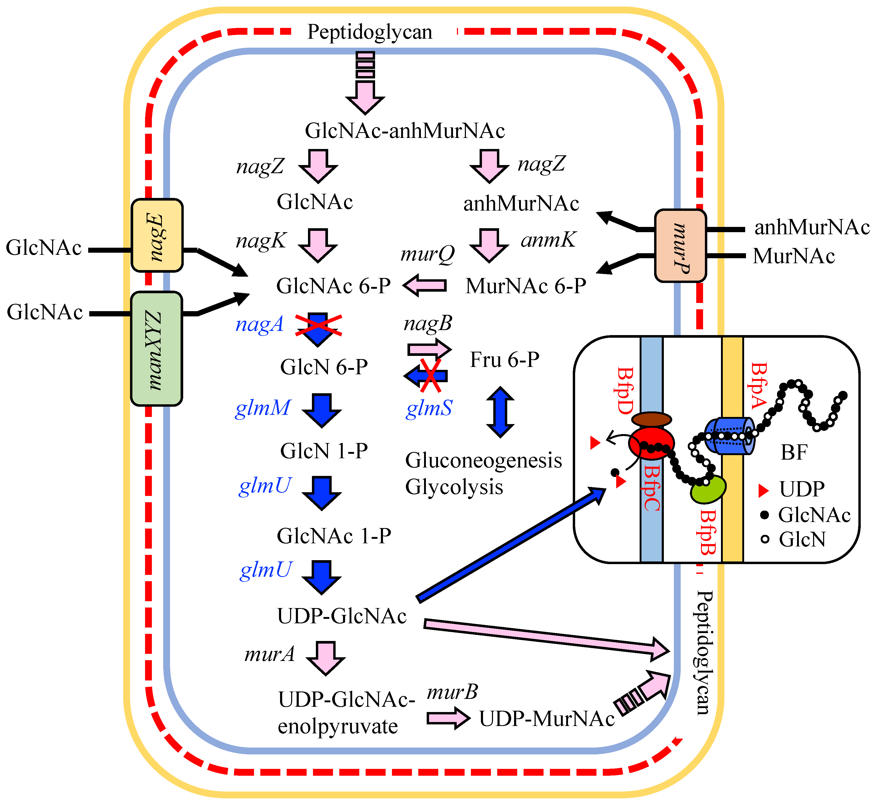 Polymers 10 00237 g006 Polymers 10 00237 g006