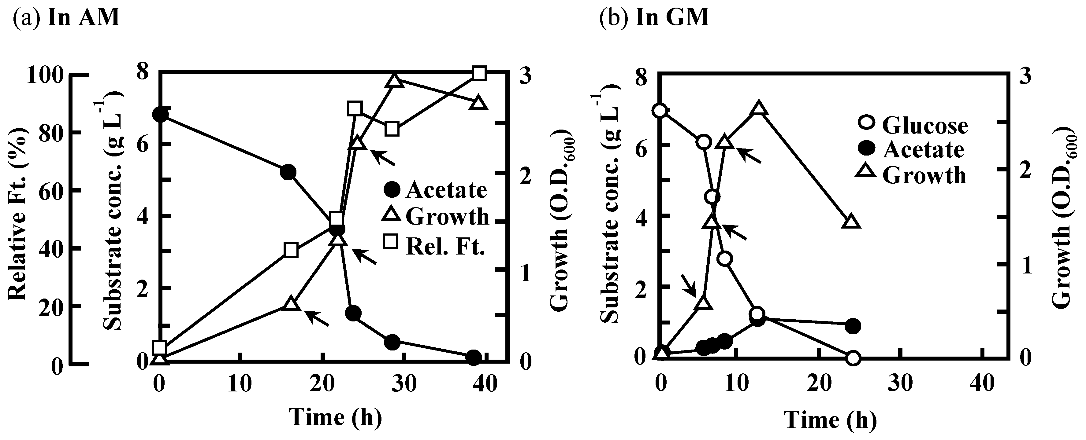 Polymers 10 00237 g008 Polymers 10 00237 g008