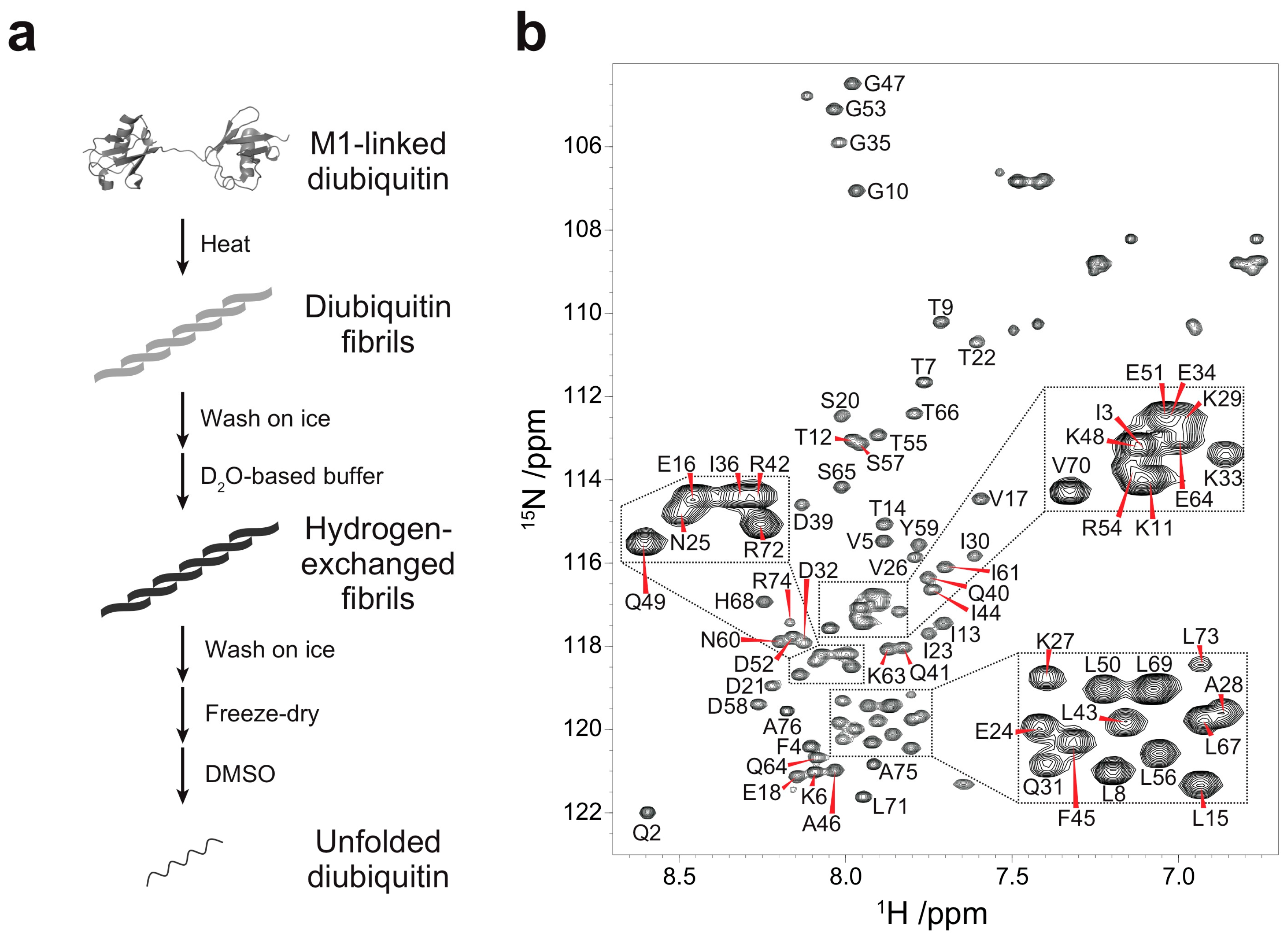 Polymers 10 00240 g001 Polymers 10 00240 g001