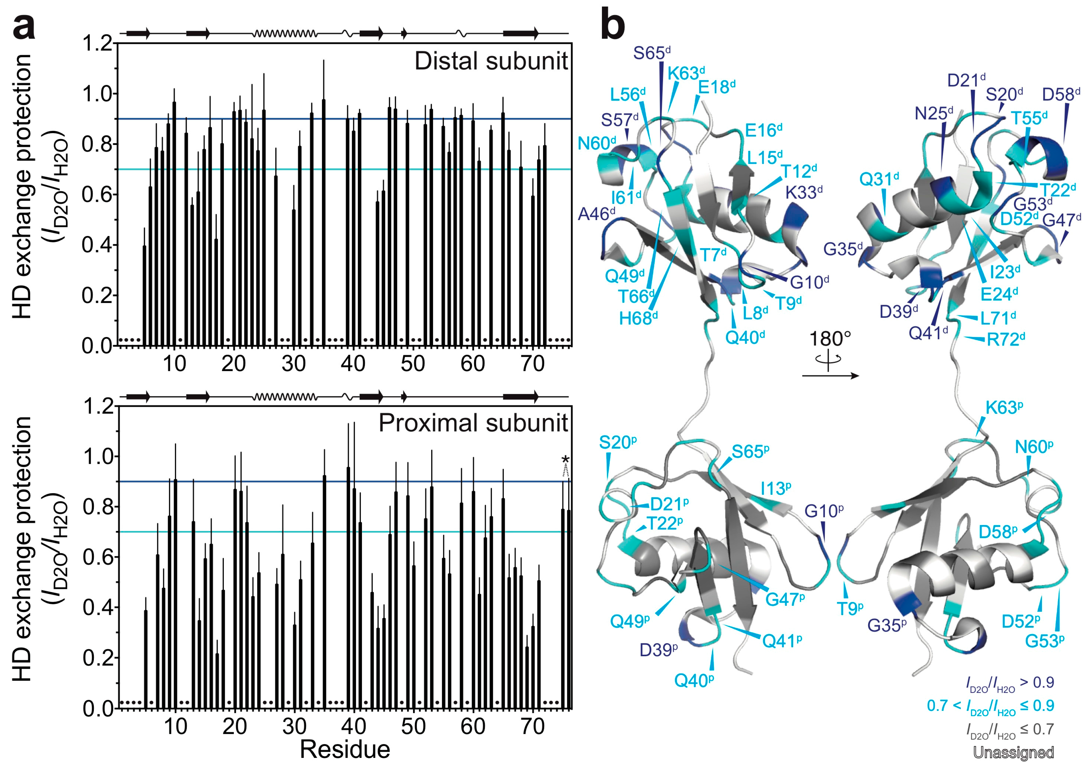 Polymers 10 00240 g002 Polymers 10 00240 g002