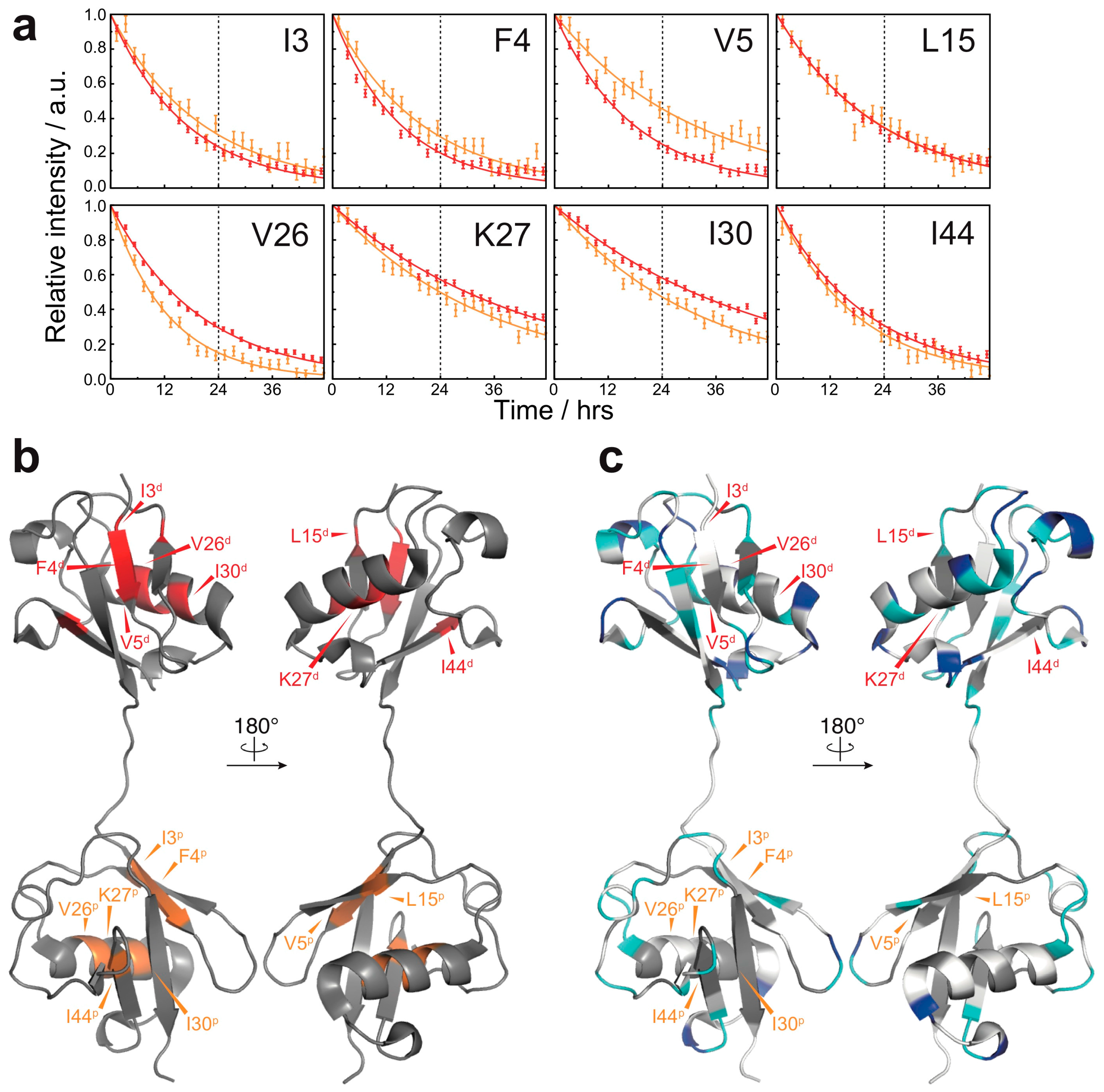 Polymers 10 00240 g003 Polymers 10 00240 g003