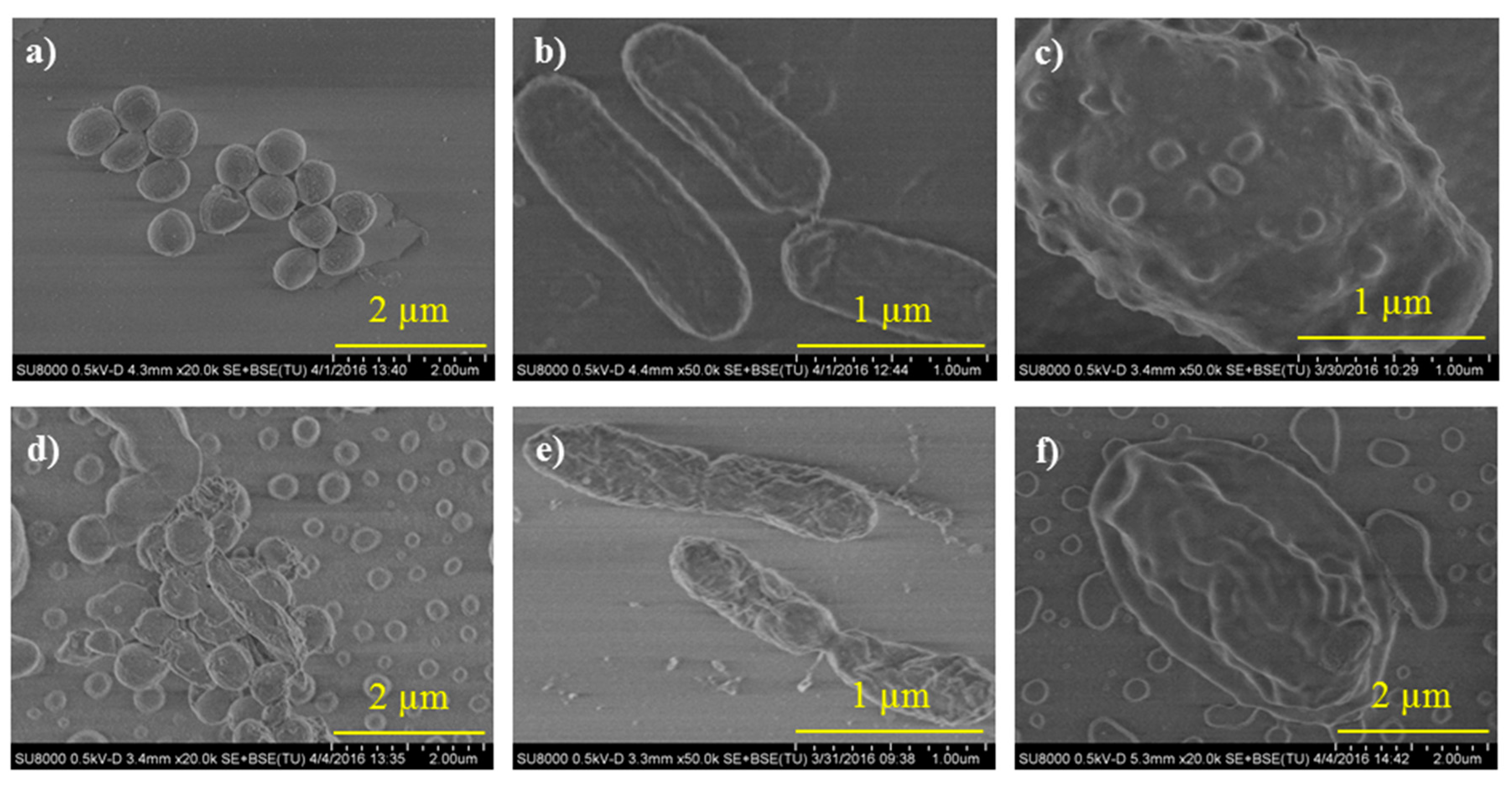 Polymers 10 00241 g004 550