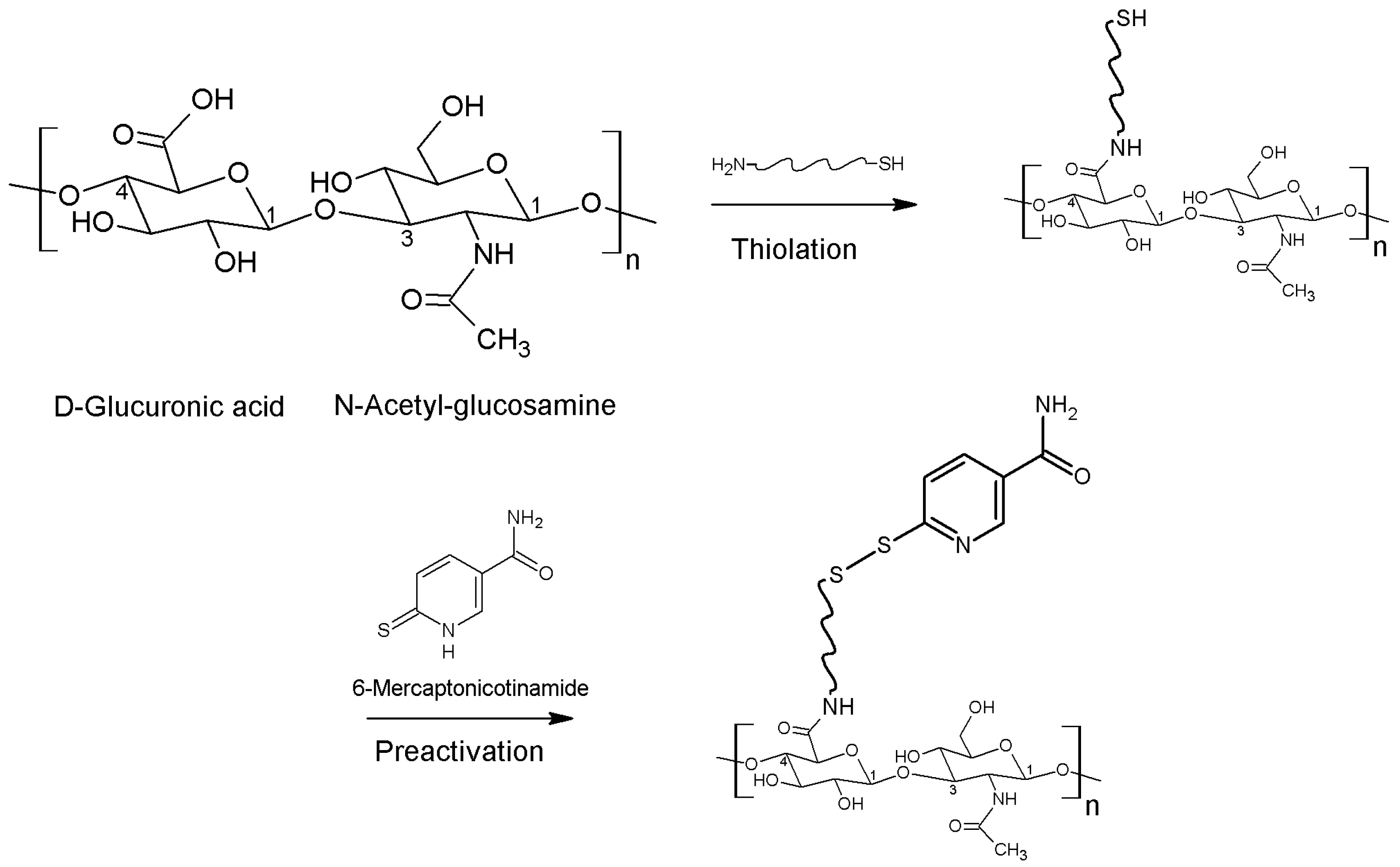 Polymers 10 00243 g001