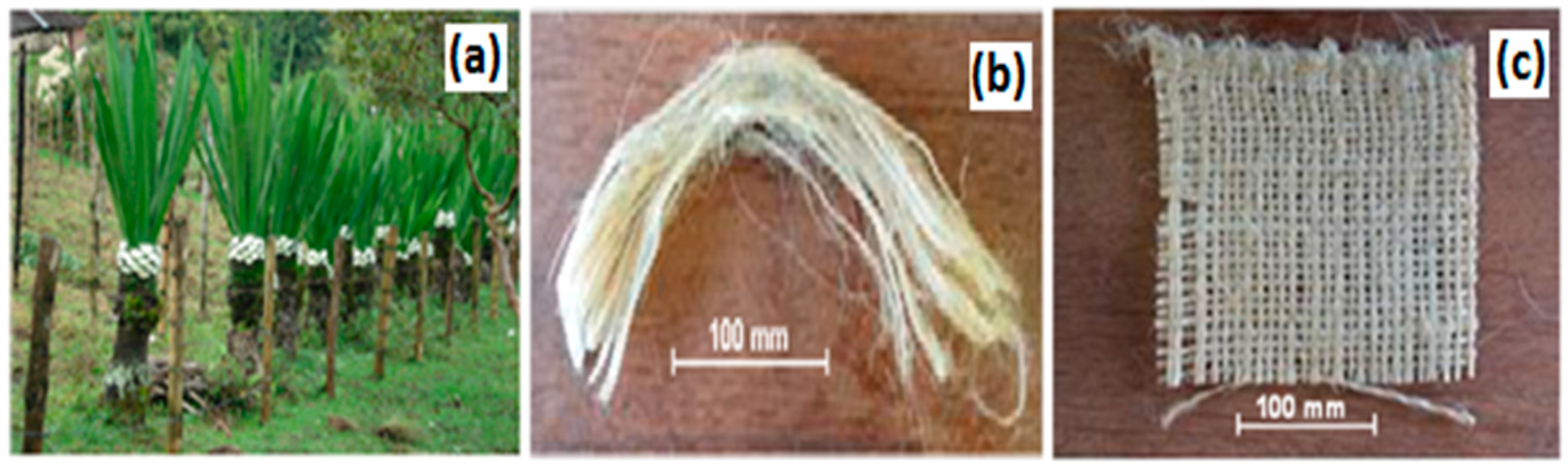 Polymers 10 00246 g001