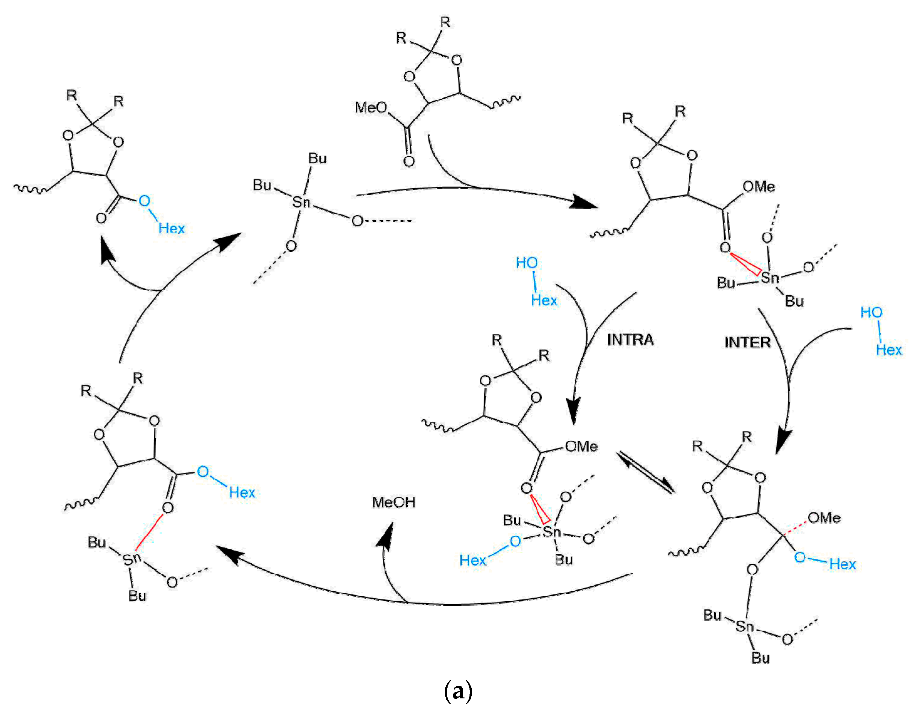 Polymers 10 00248 sch002a Polymers 10 00248 sch002a