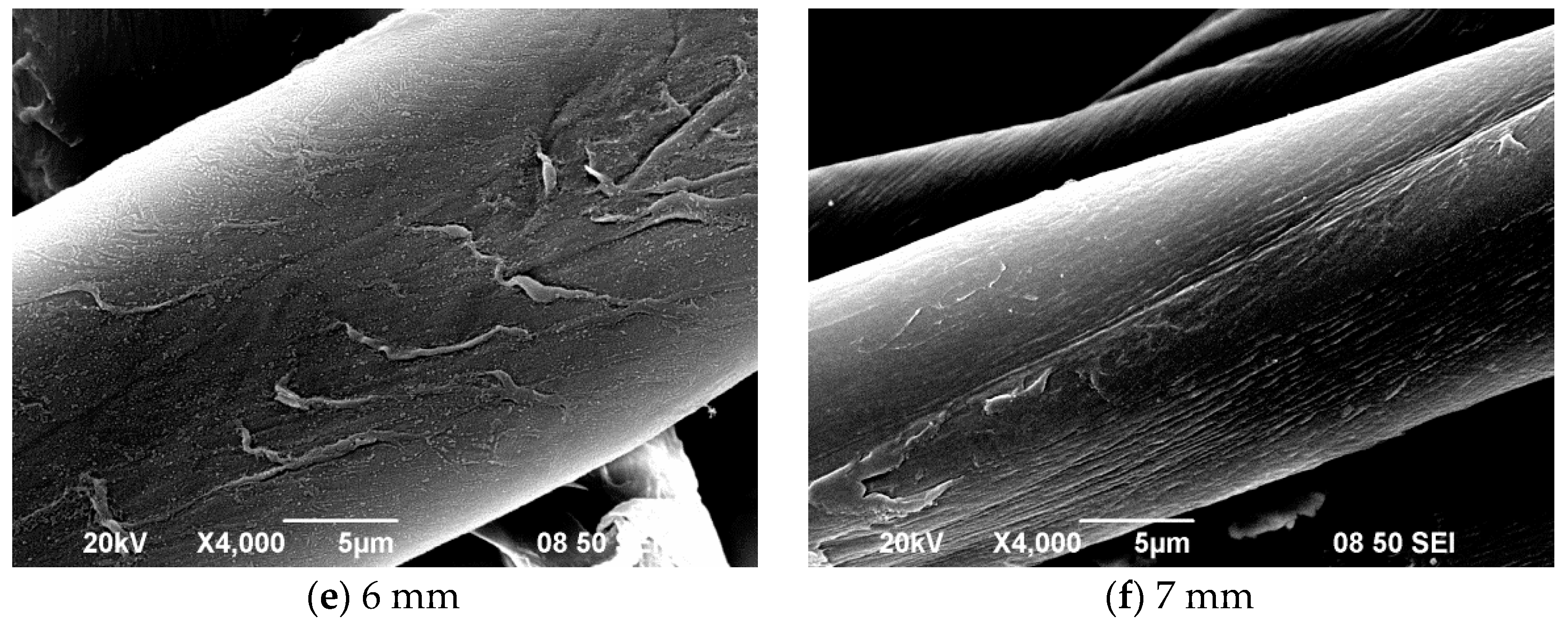 Polymers 10 00250 g005b 550