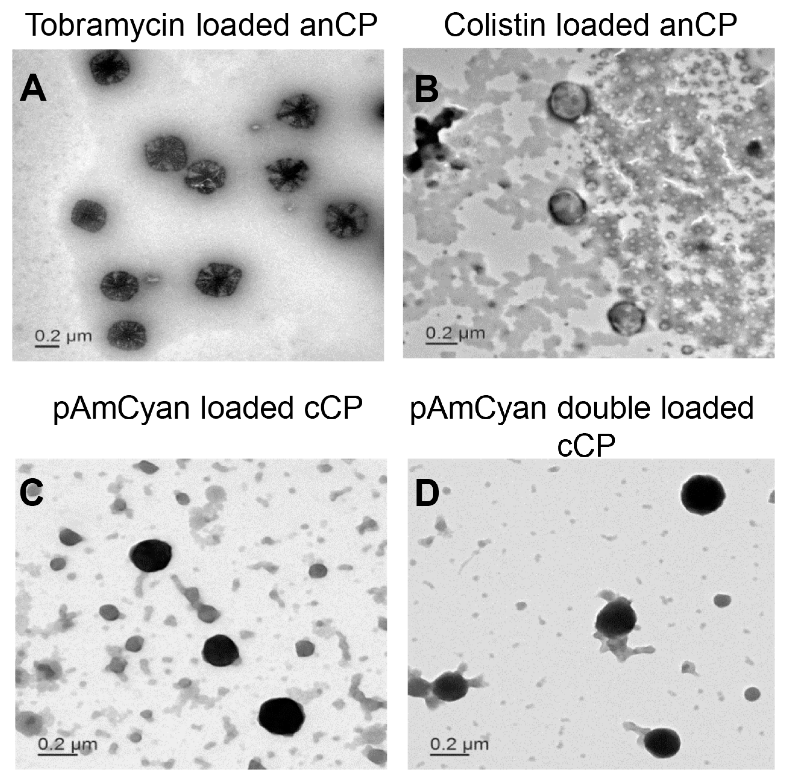 Polymers 10 00252 g005 Polymers 10 00252 g005