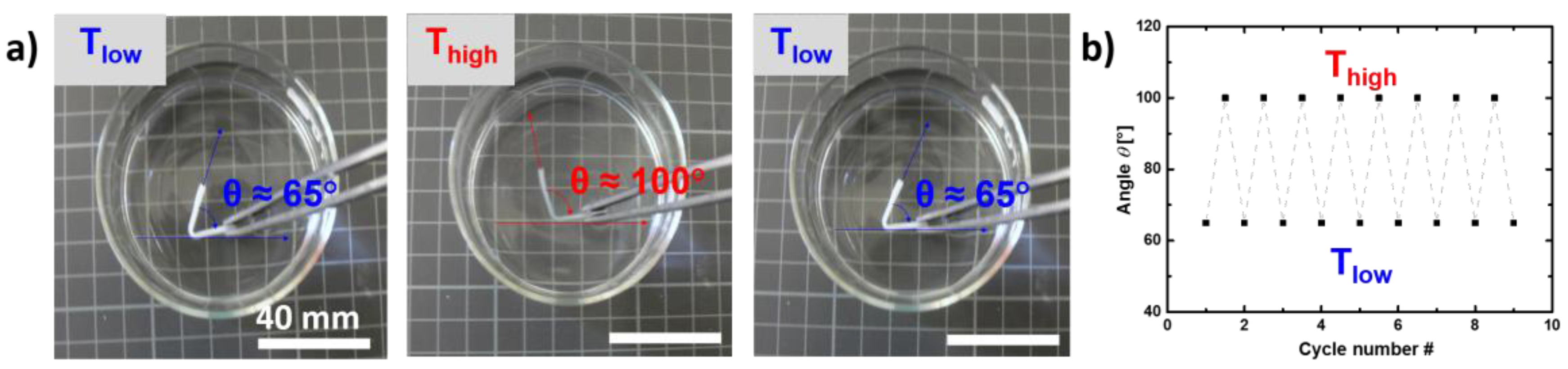 Polymers 10 00255 g003 550