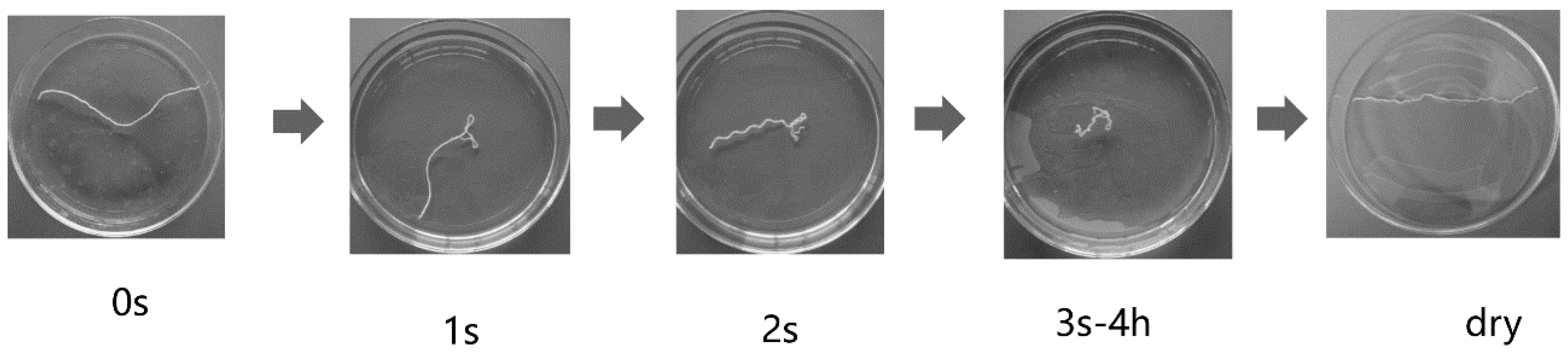Polymers 10 00260 g005 550