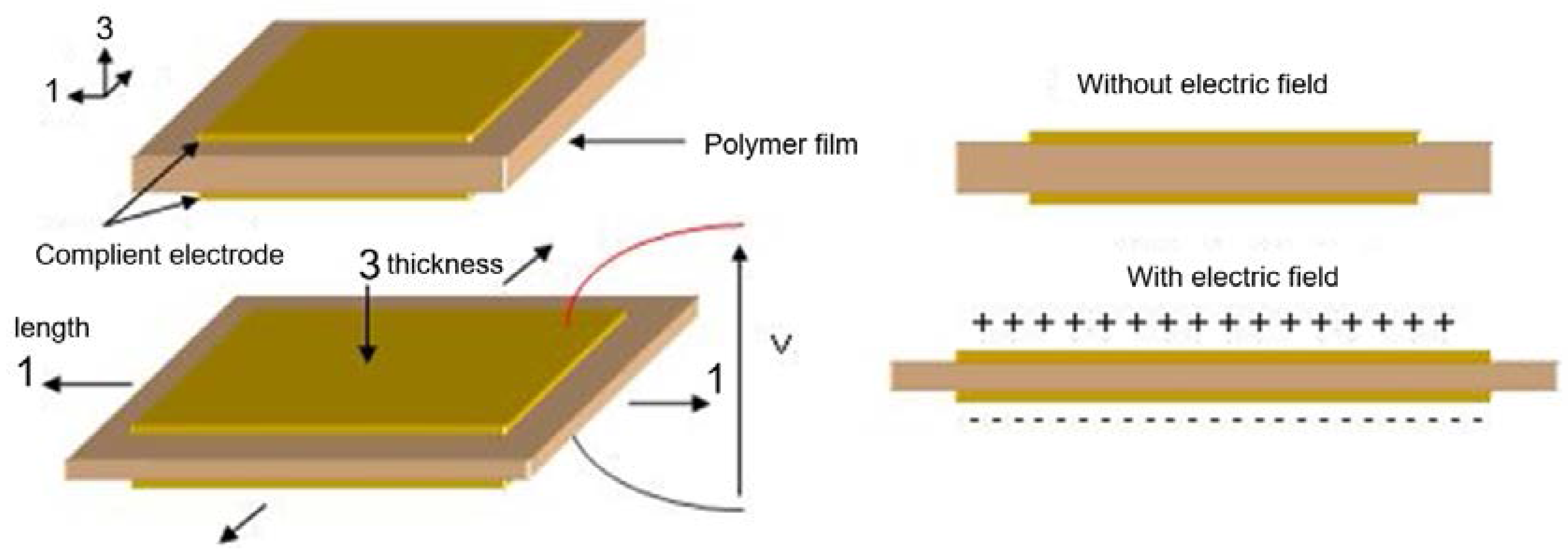 Polymers 10 00263 g001