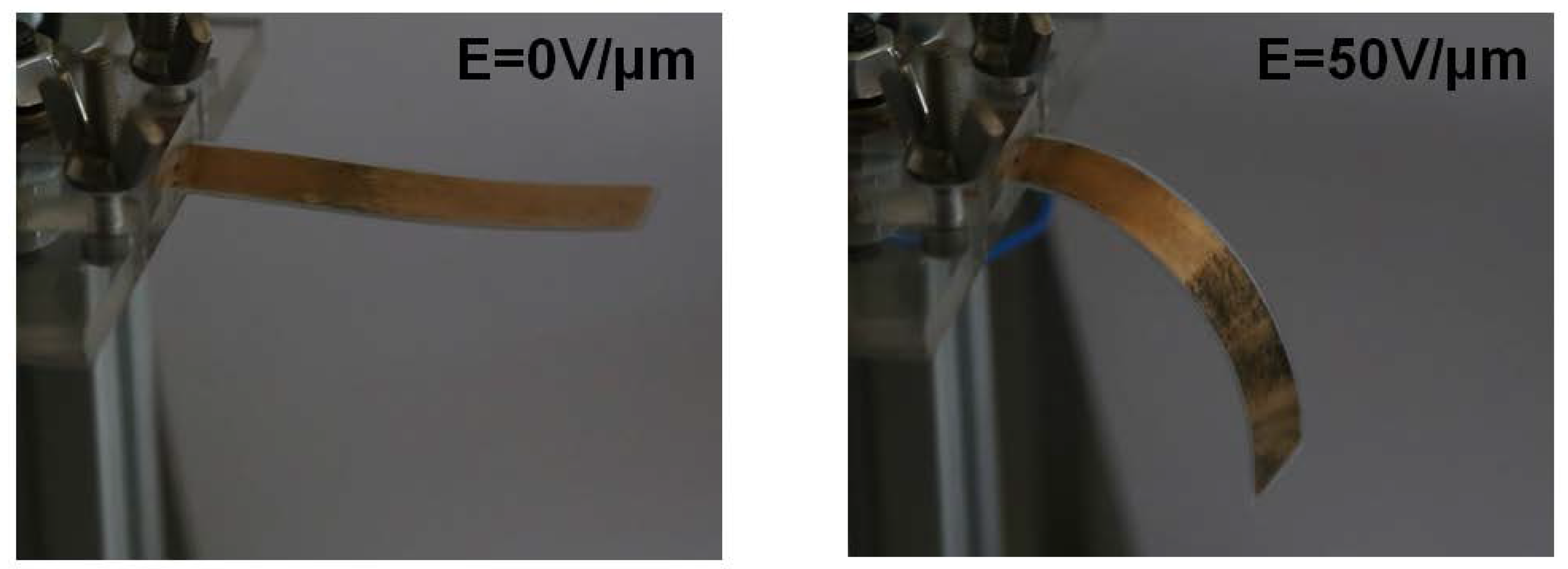 Polymers 10 00263 g009