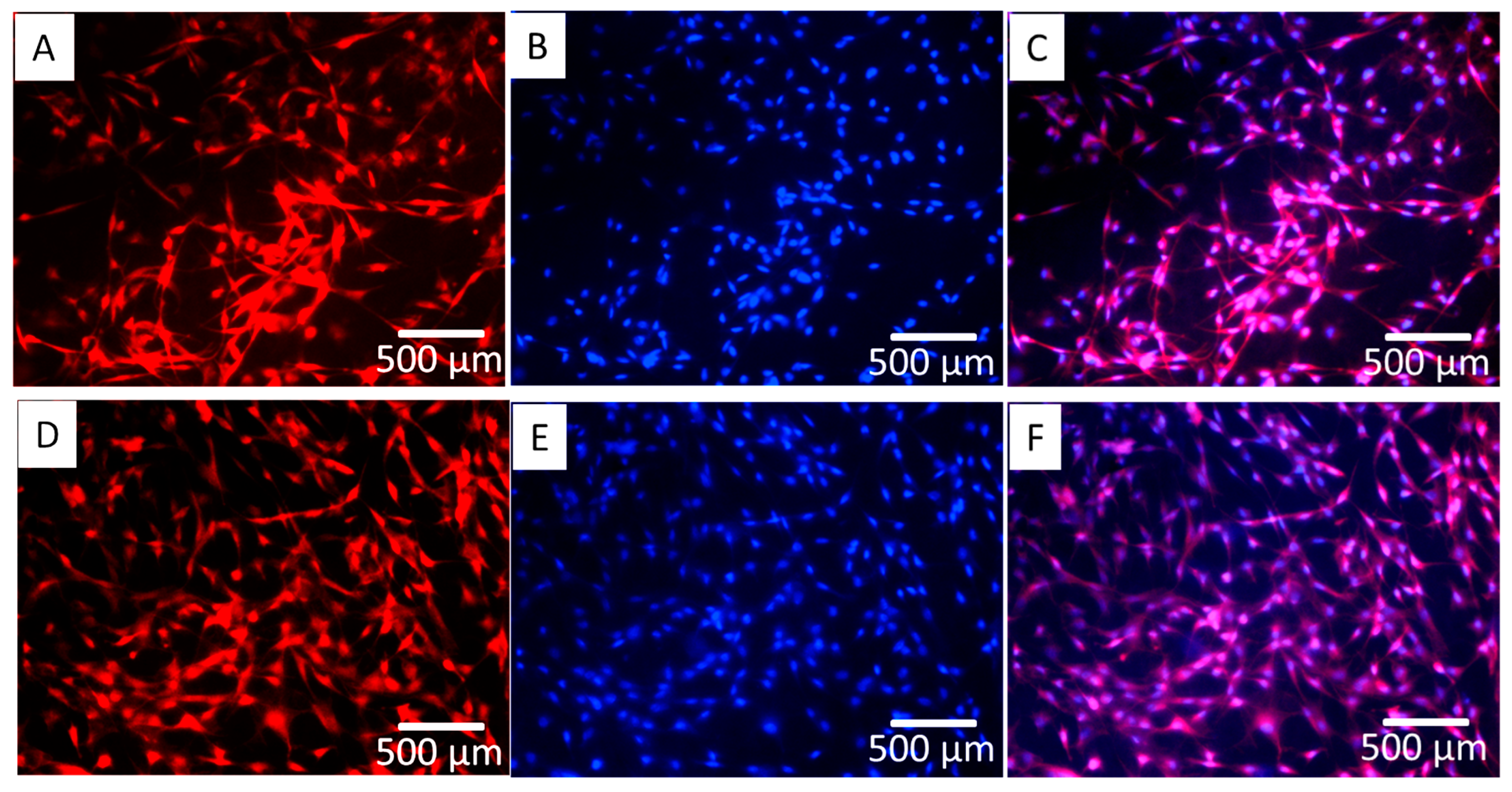Polymers 10 00272 g004 550