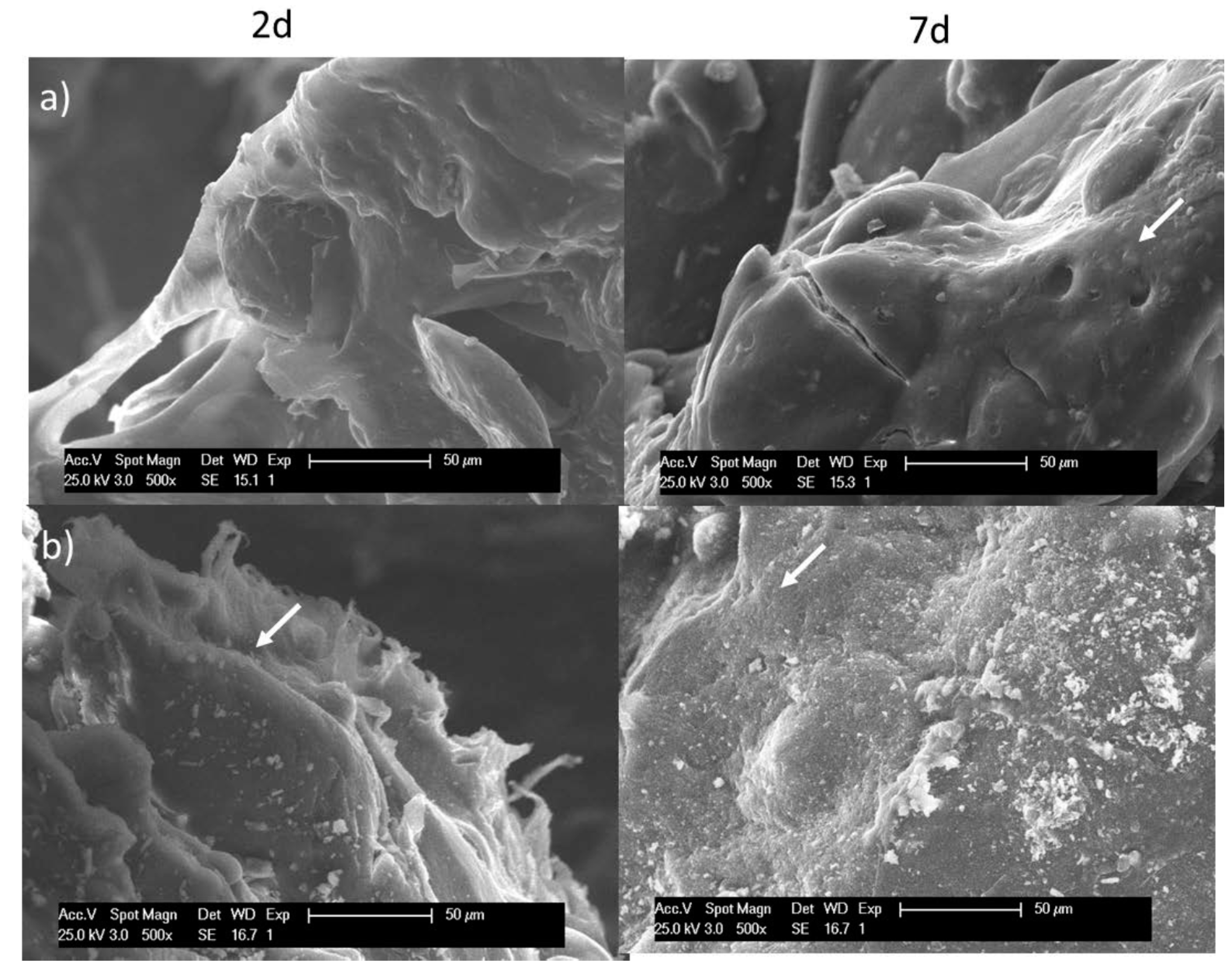 Polymers 10 00279 g008 Polymers 10 00279 g008