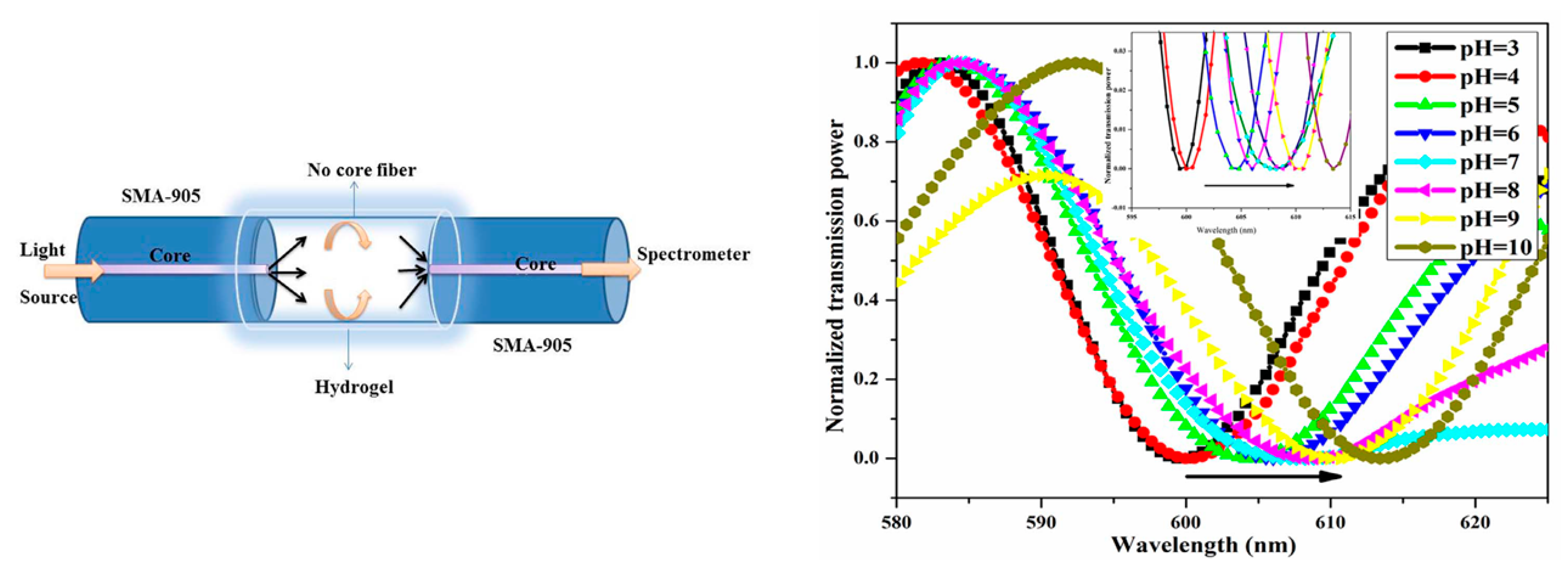 Polymers Free FullText Optical Fiber Sensors Based on Polymeric