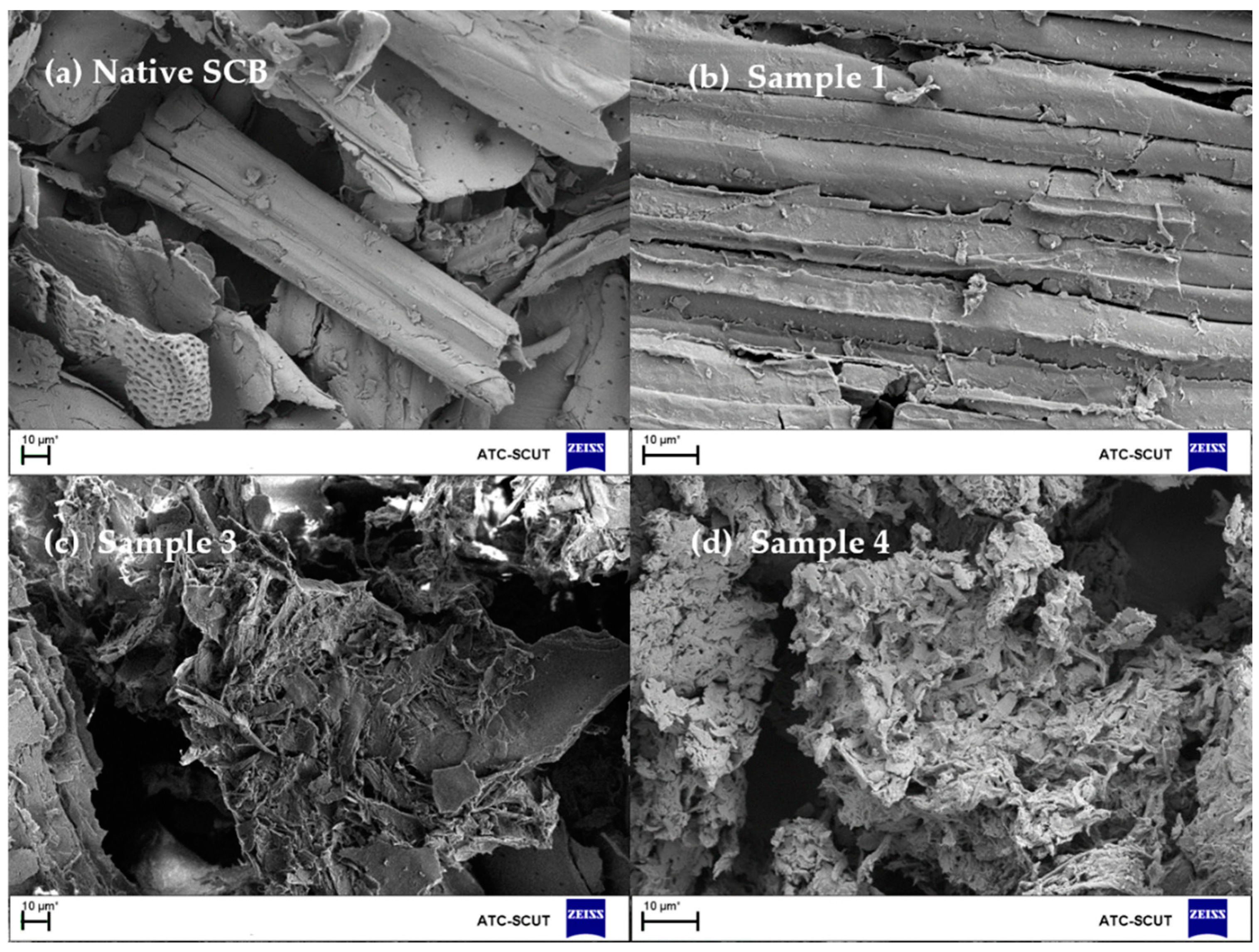 Polymers 10 00282 g005 Polymers 10 00282 g005