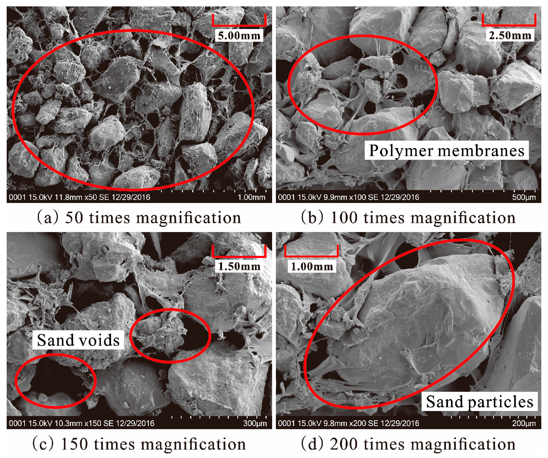 Polymers 10 00287 g014 550