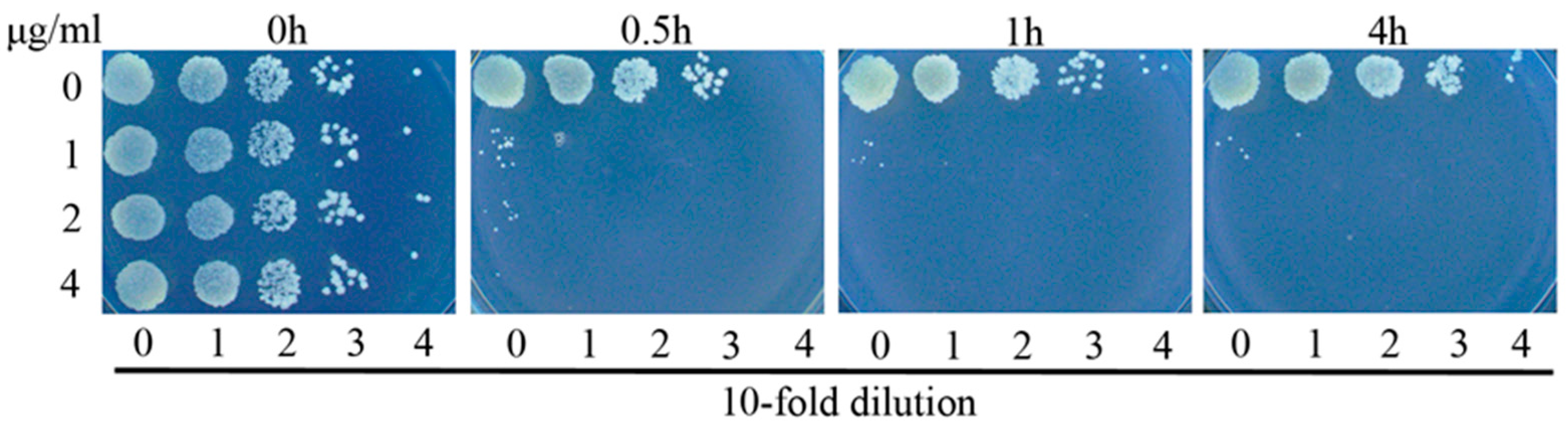 Polymers 10 00297 g002 Polymers 10 00297 g002