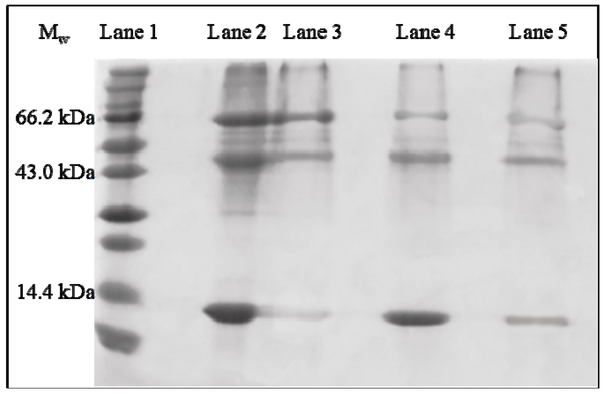 Polymers 10 00298 g008