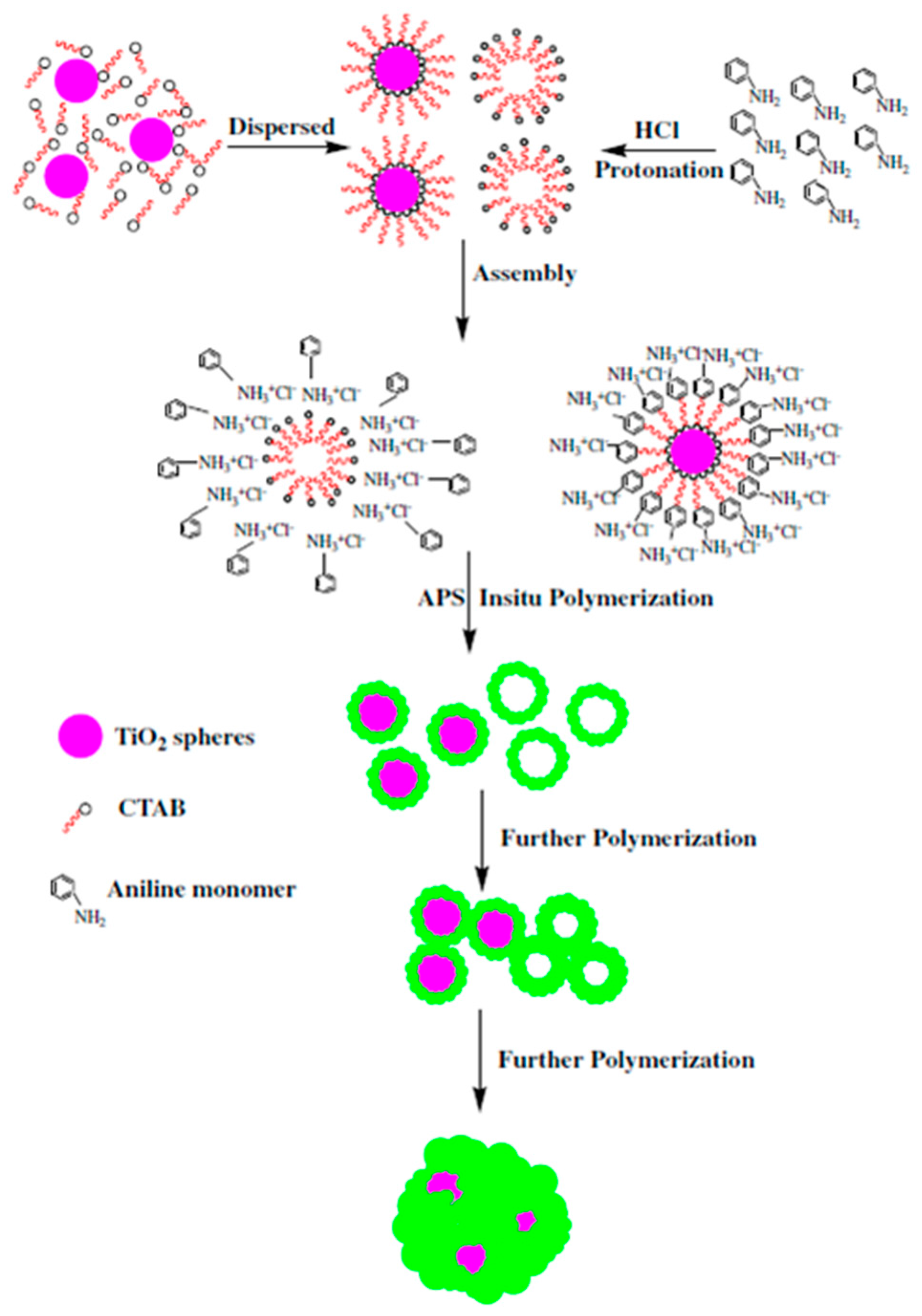 Polymers 10 00299 sch004 Polymers 10 00299 sch004