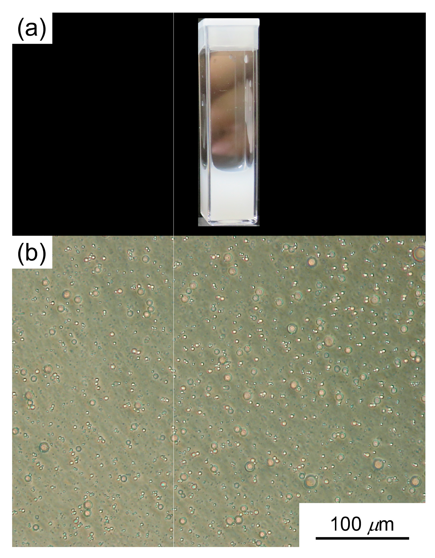 Polymers 10 00301 g004 Polymers 10 00301 g004