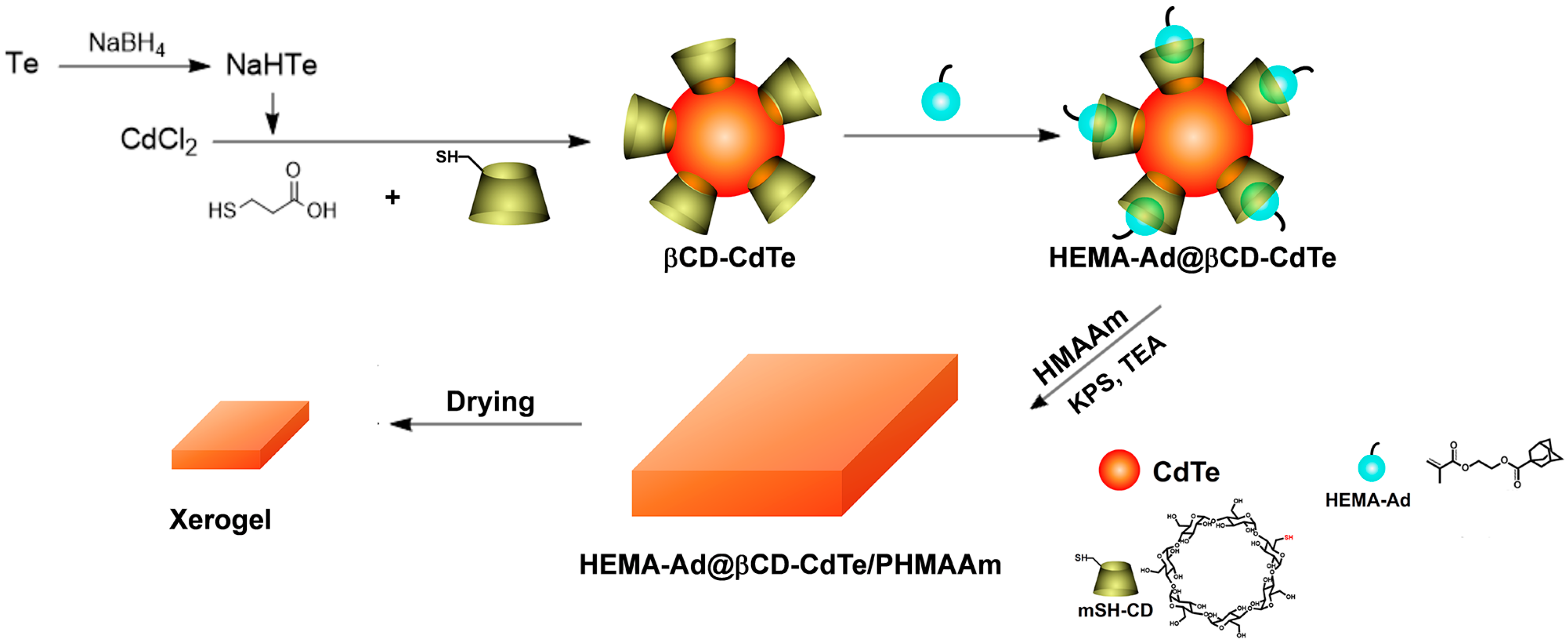 Polymers 10 00310 sch001