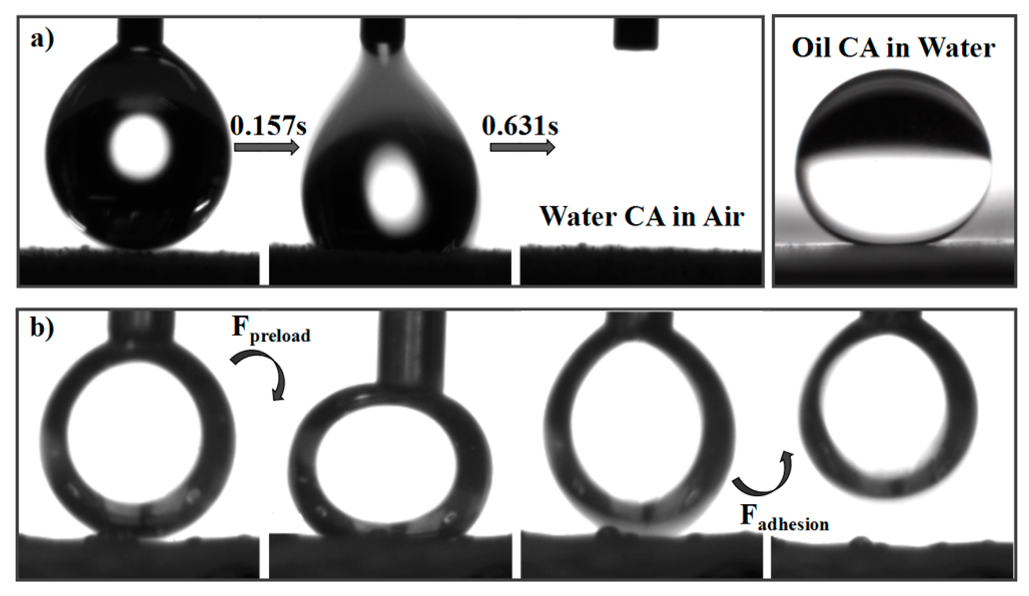 Polymers 10 00323 g004 550