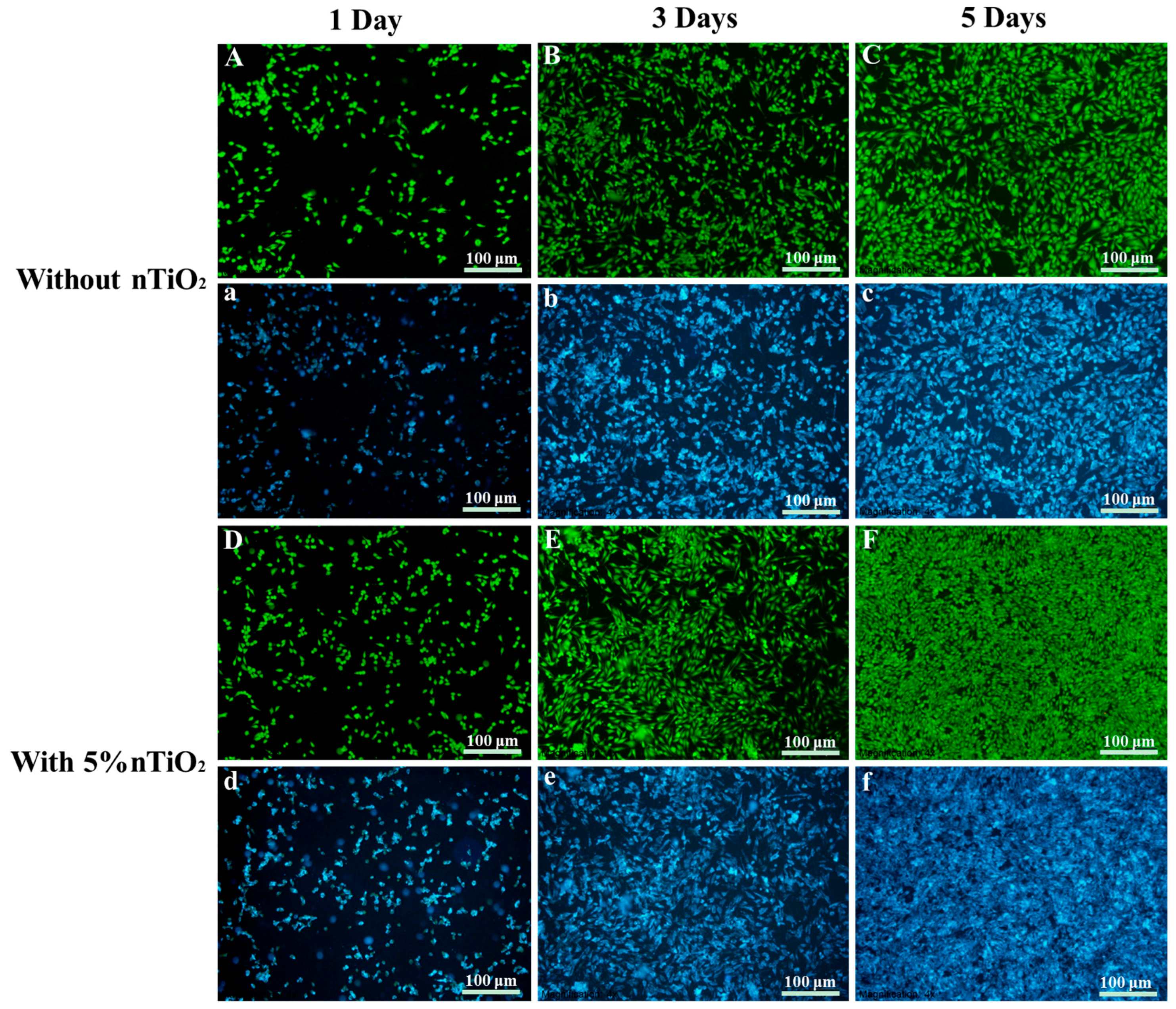 Polymers 10 00328 g011 Polymers 10 00328 g011