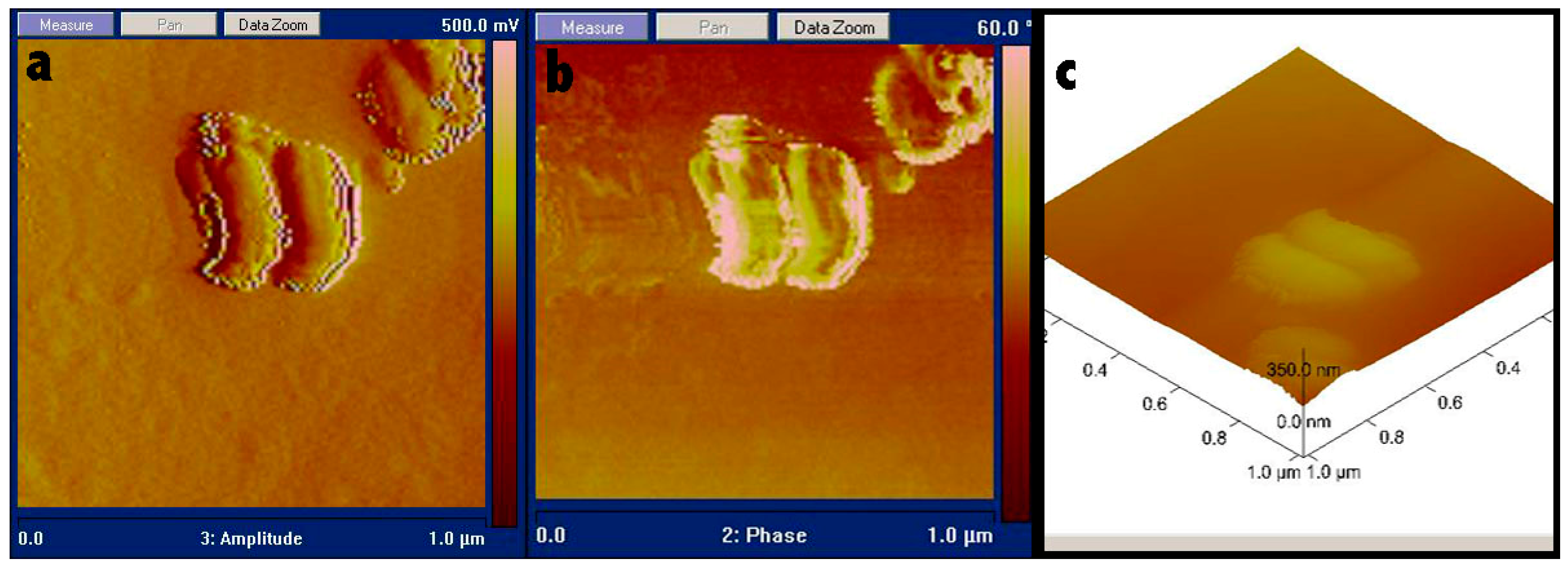Polymers 10 00335 g003 550
