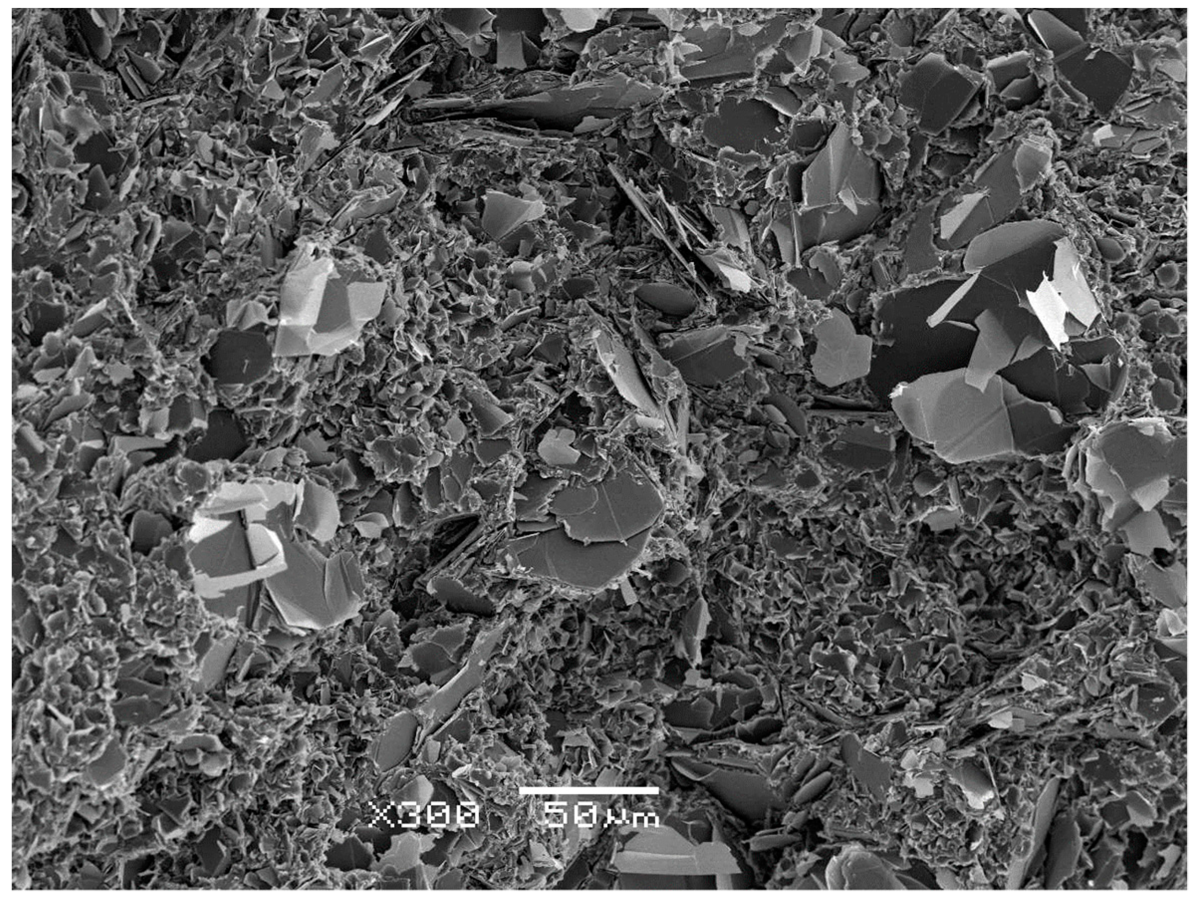 Polymers 10 00340 g009