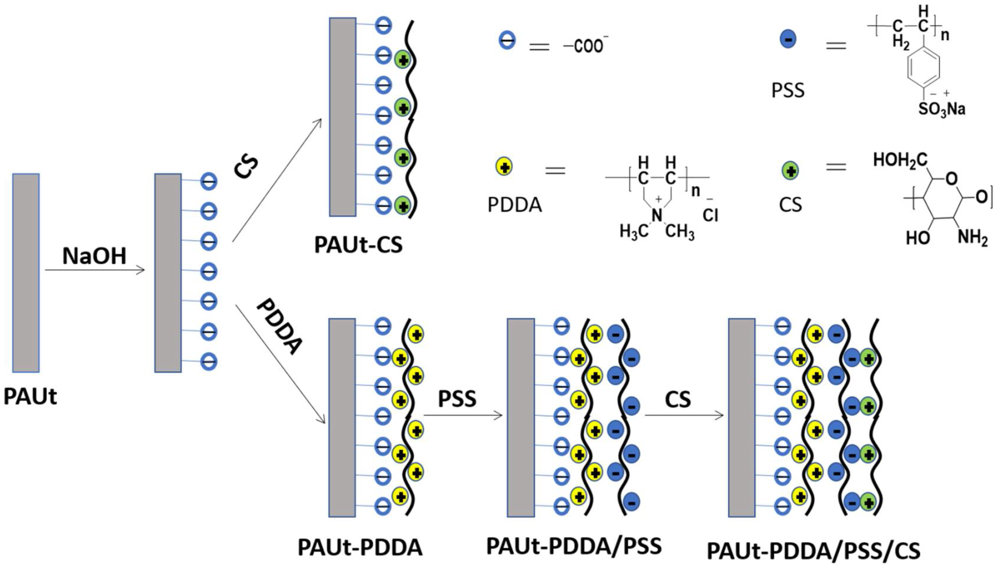 Polymers 10 00346 g001 550