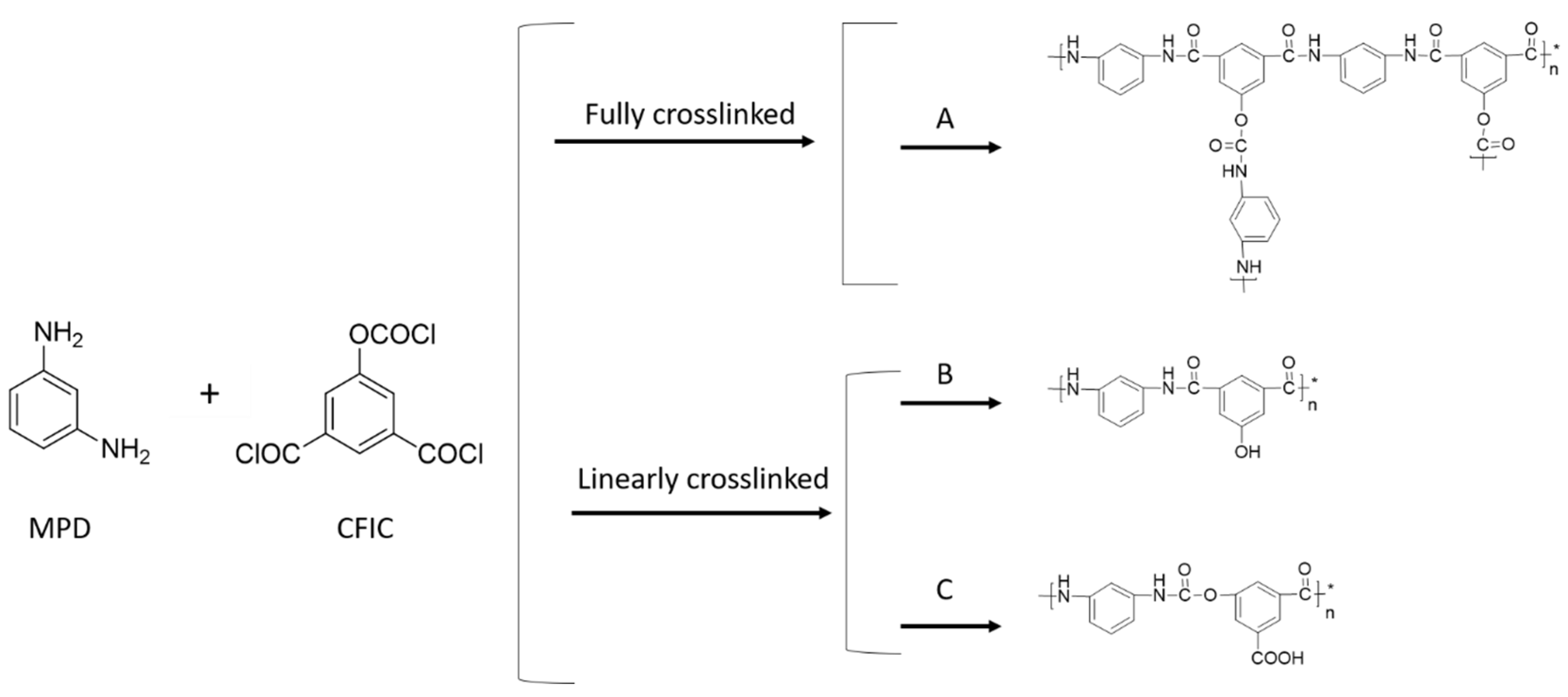 Polymers 10 00346 g004 550