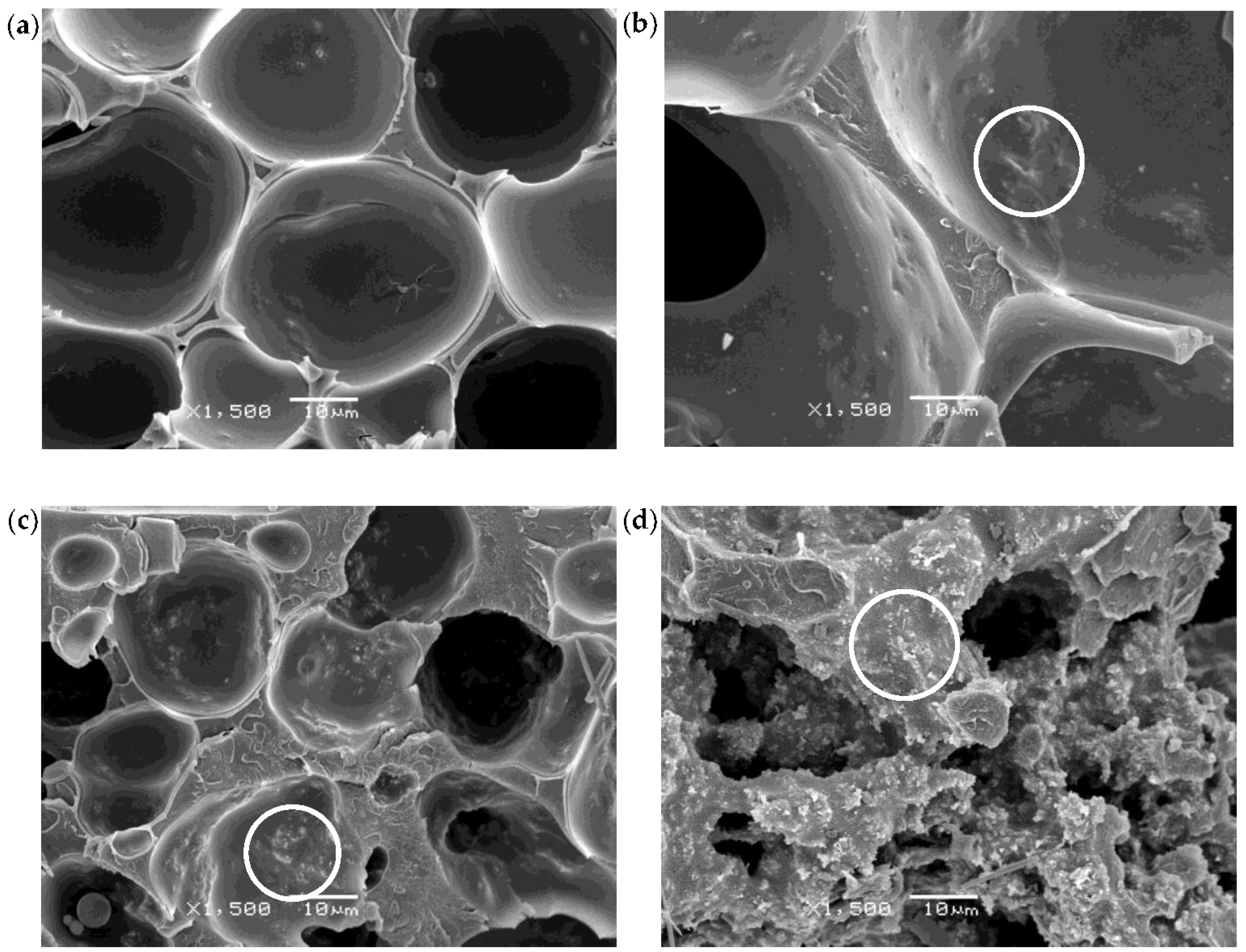Polymers 10 00348 g007 Polymers 10 00348 g007