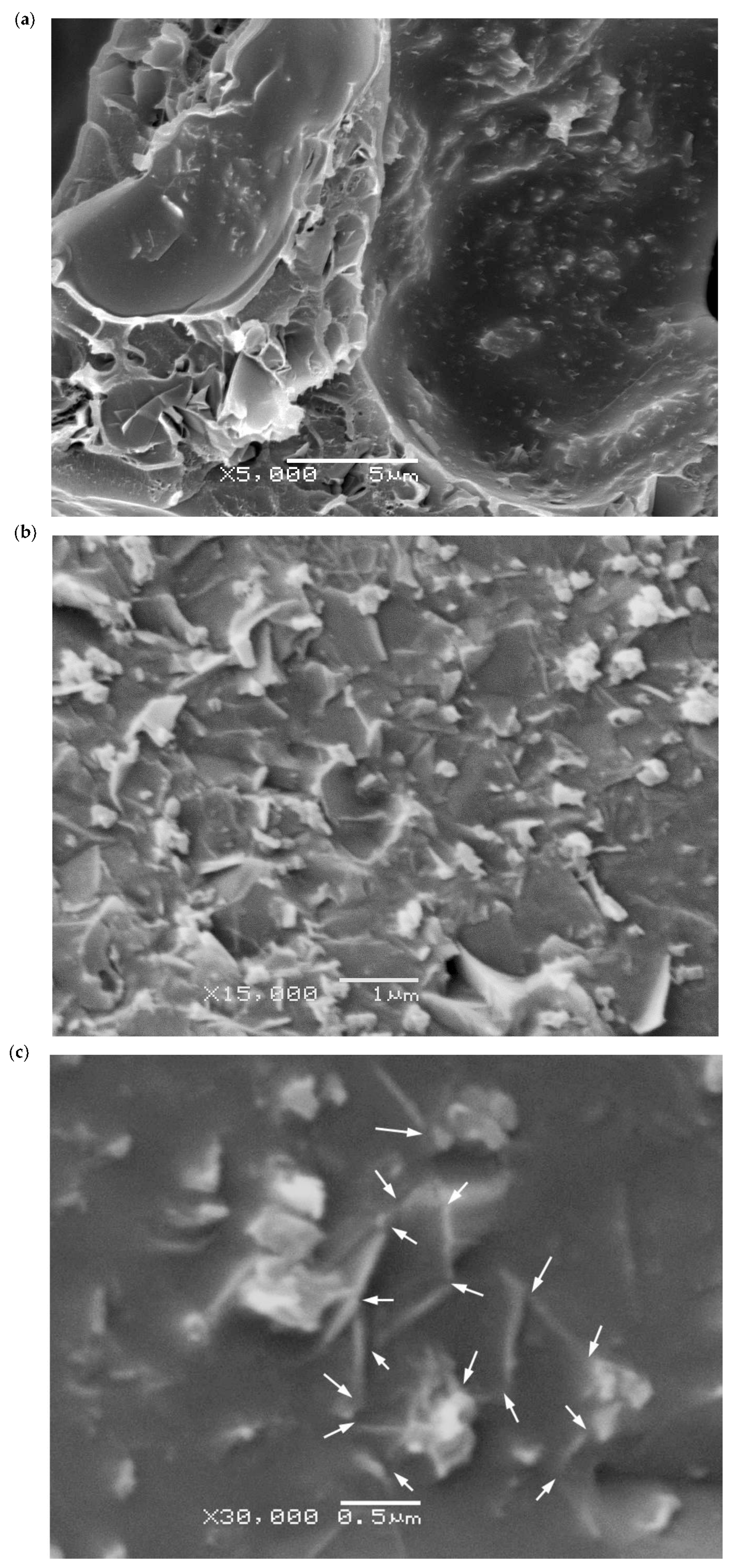 Polymers 10 00348 g008 Polymers 10 00348 g008
