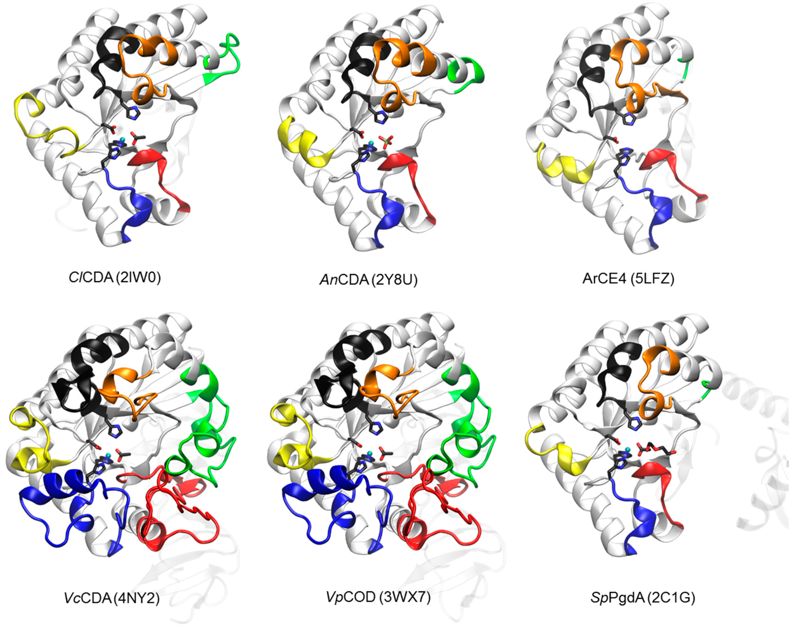 Polymers 10 00352 g002 Polymers 10 00352 g002