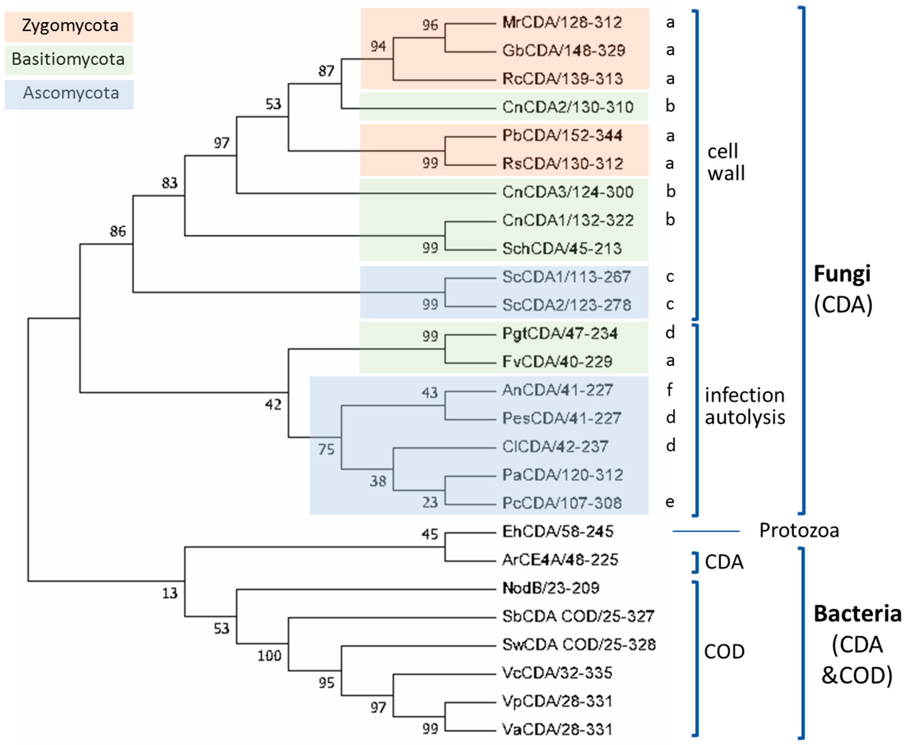 Polymers 10 00352 g004 Polymers 10 00352 g004