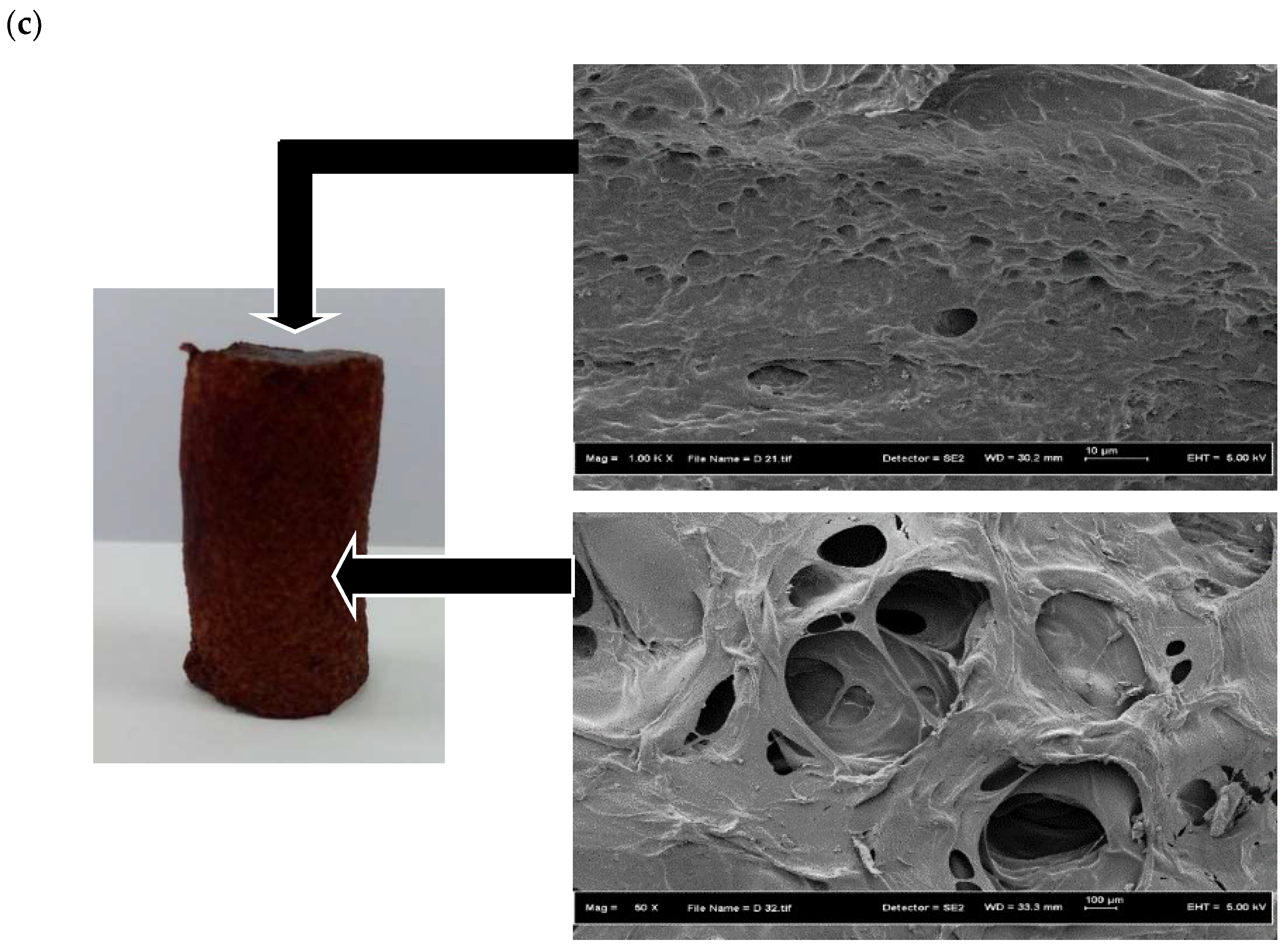 Polymers 10 00353 g005b