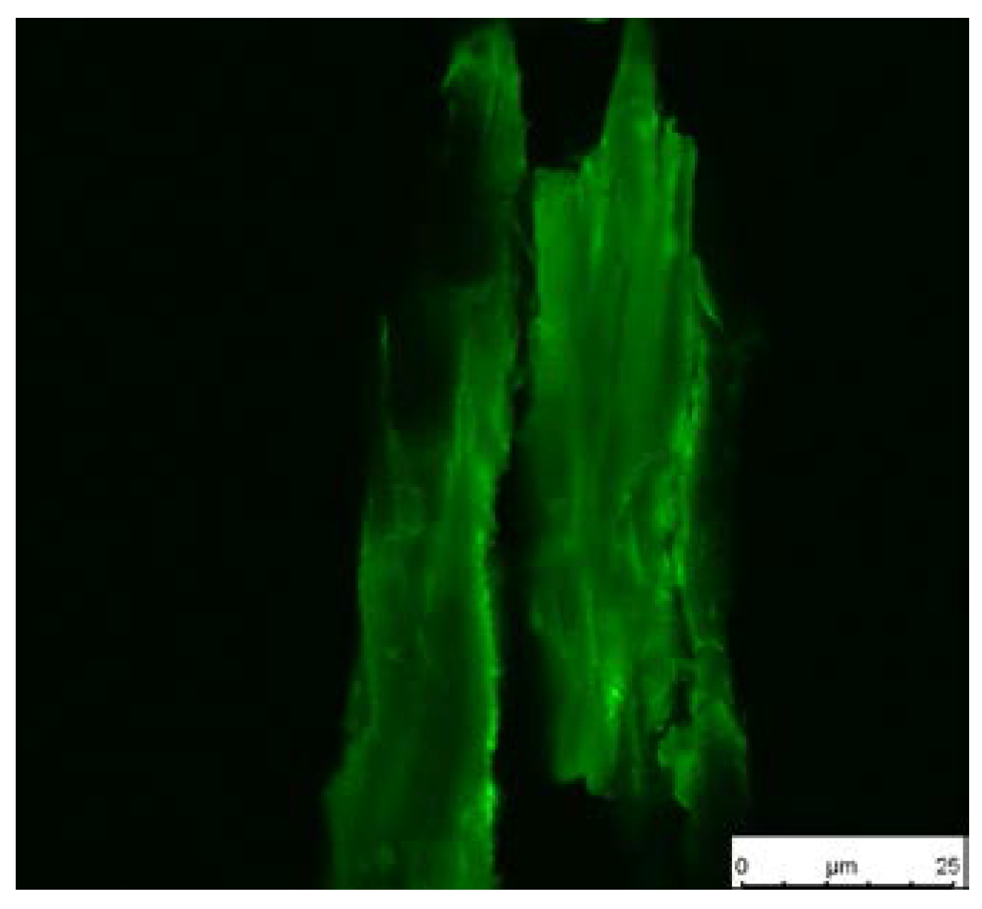 Polymers 10 00354 g006