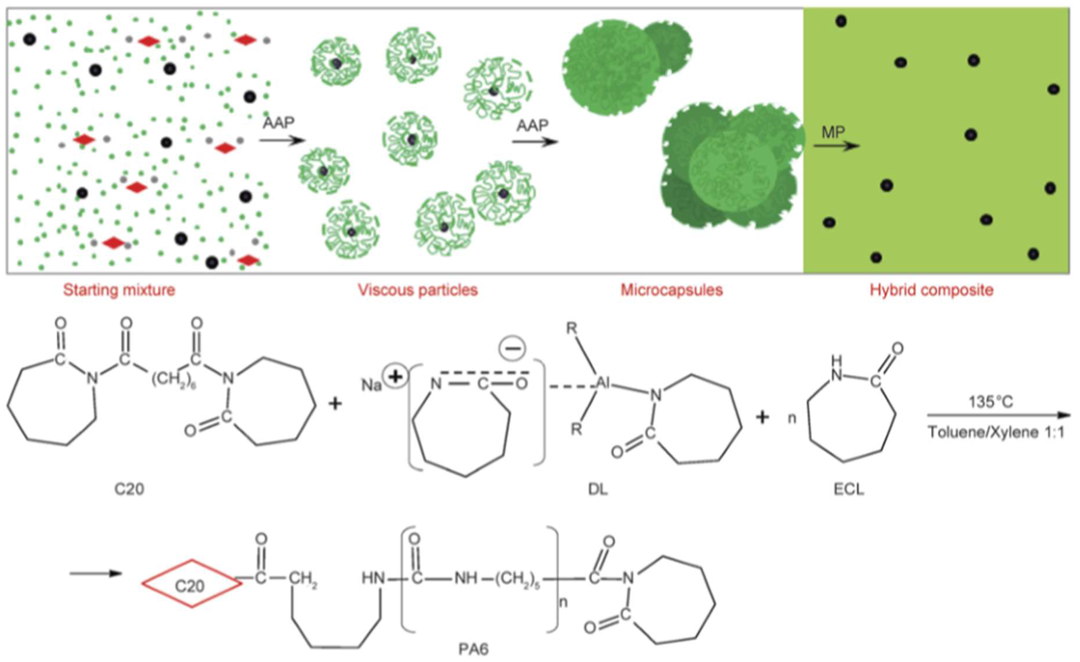 Polymers Free Full Text Polymers And Related Composites Via Anionic Ring Opening Polymerization Of Lactams Recent Developments And Future Trends Html
