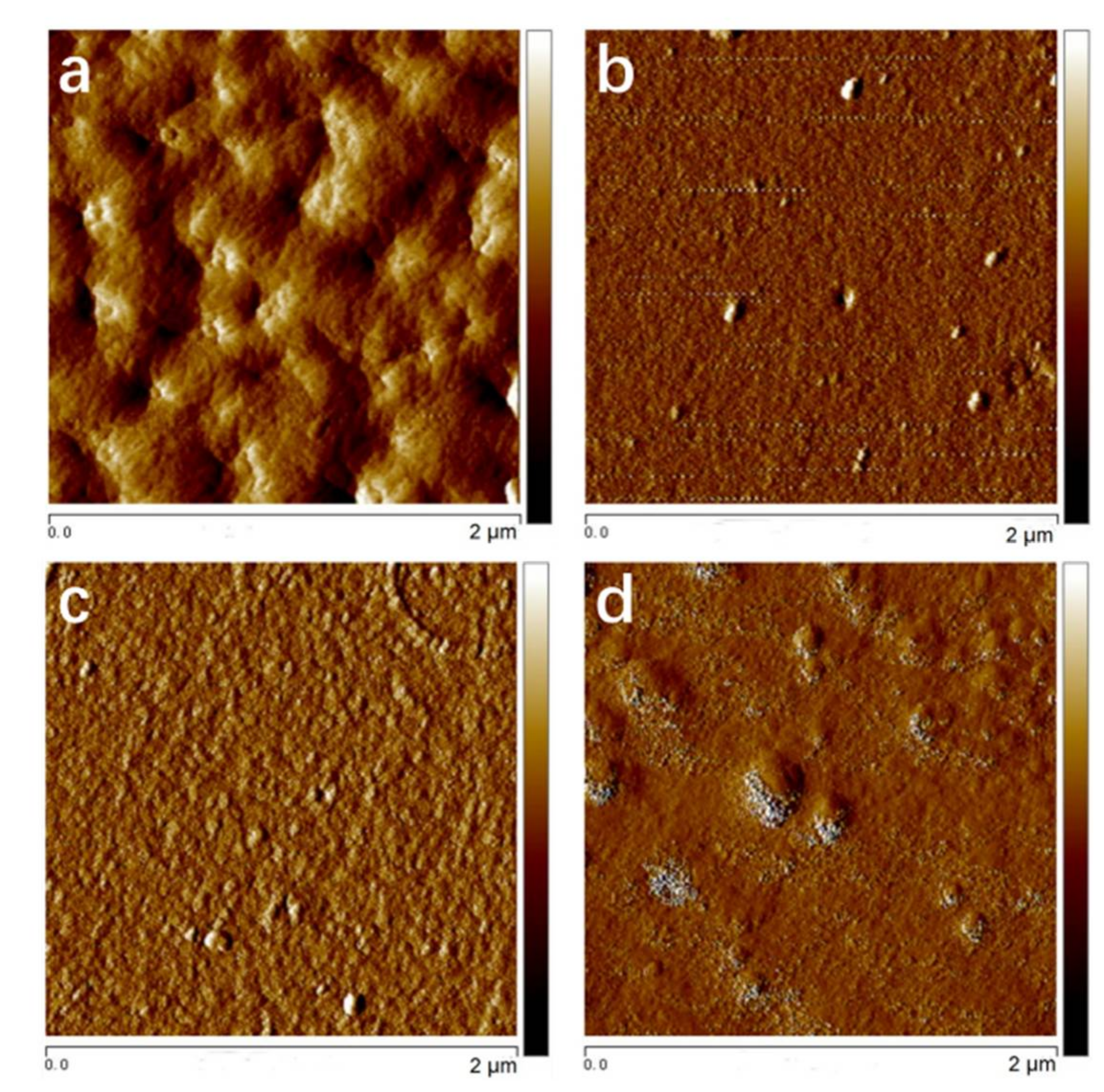 Polymers 10 00369 g002 550