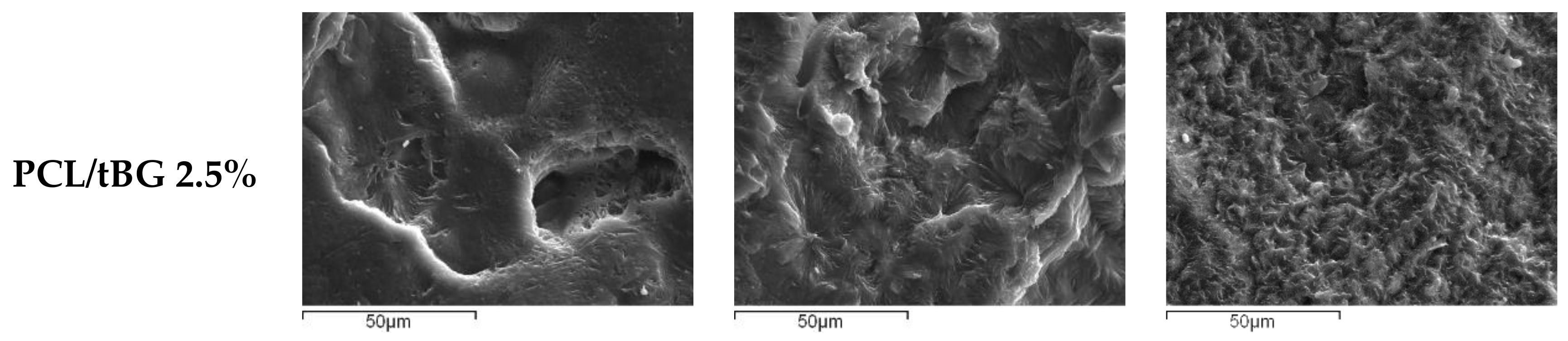 Polymers 10 00381 g012b Polymers 10 00381 g012b