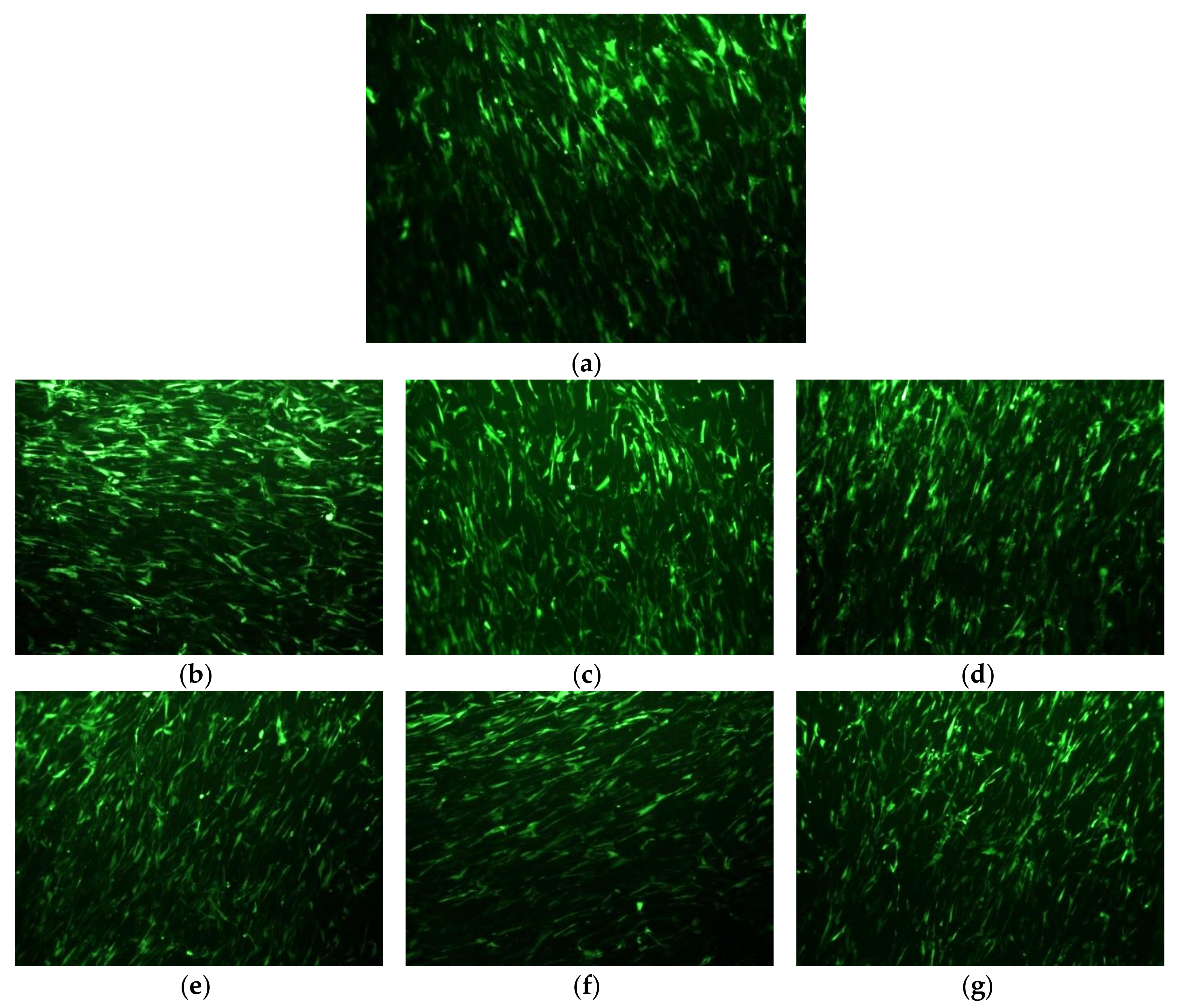 Polymers 10 00381 g014 Polymers 10 00381 g014