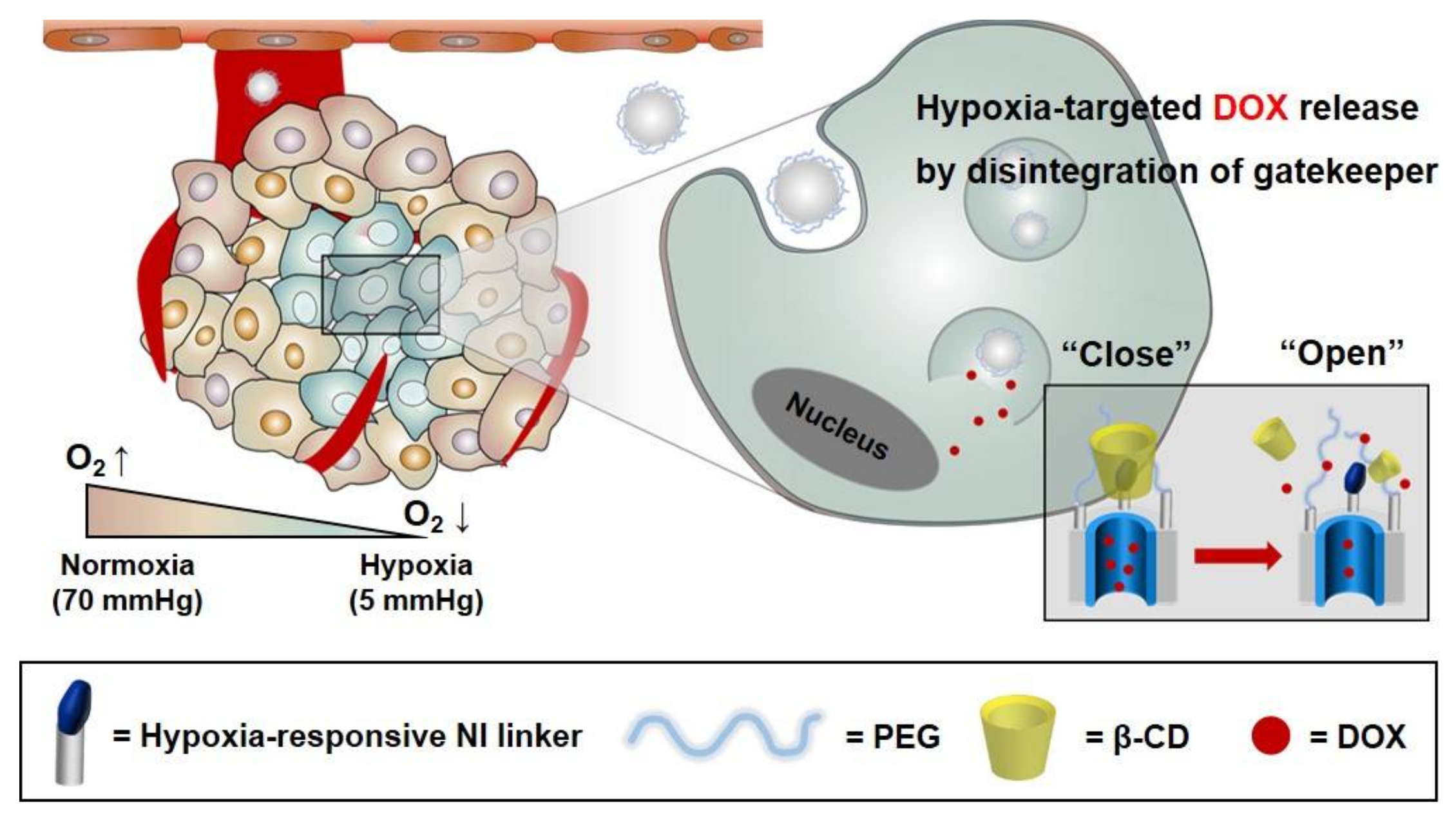 Polymers 10 00390 g001 550