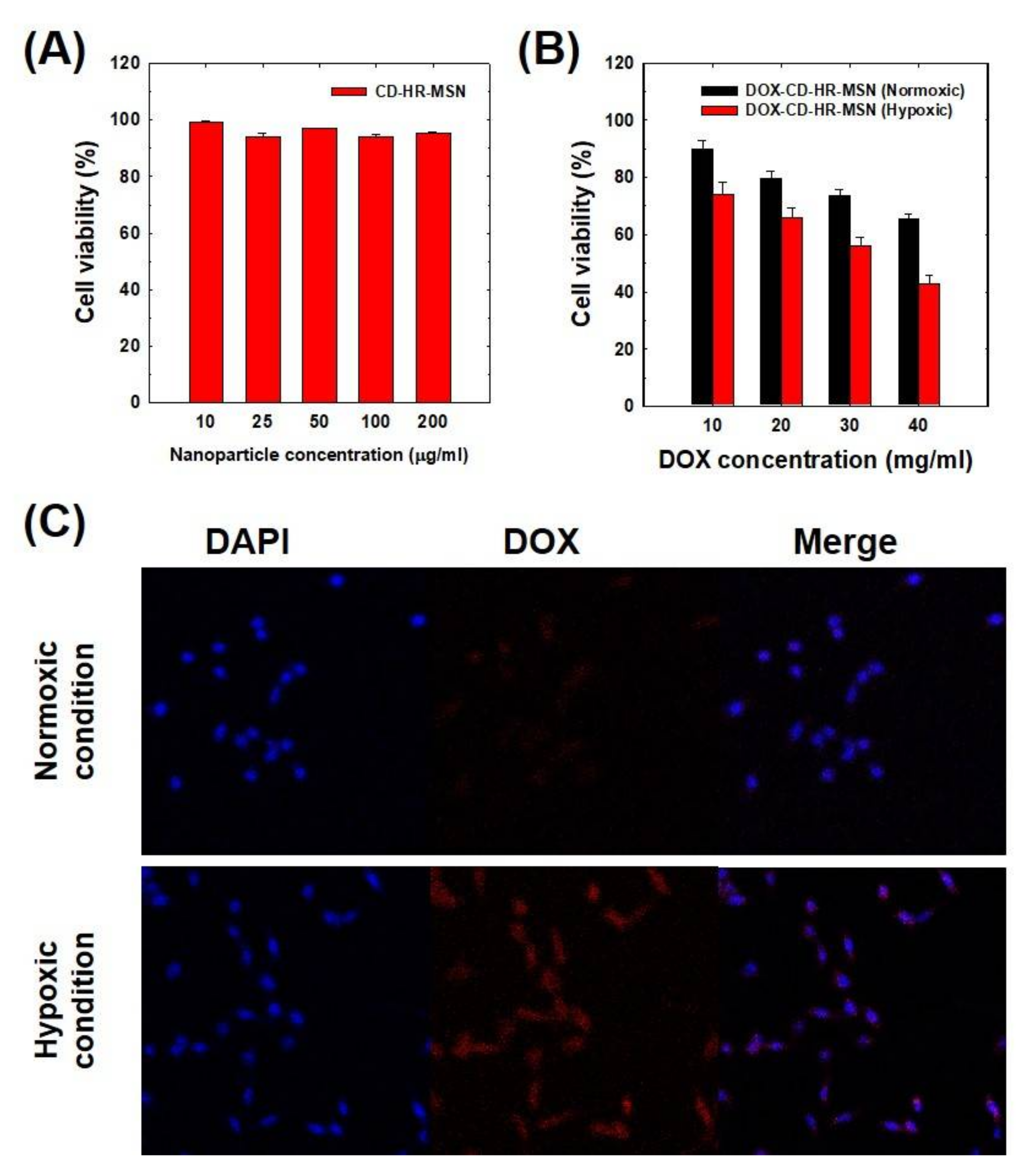 Polymers 10 00390 g005 550