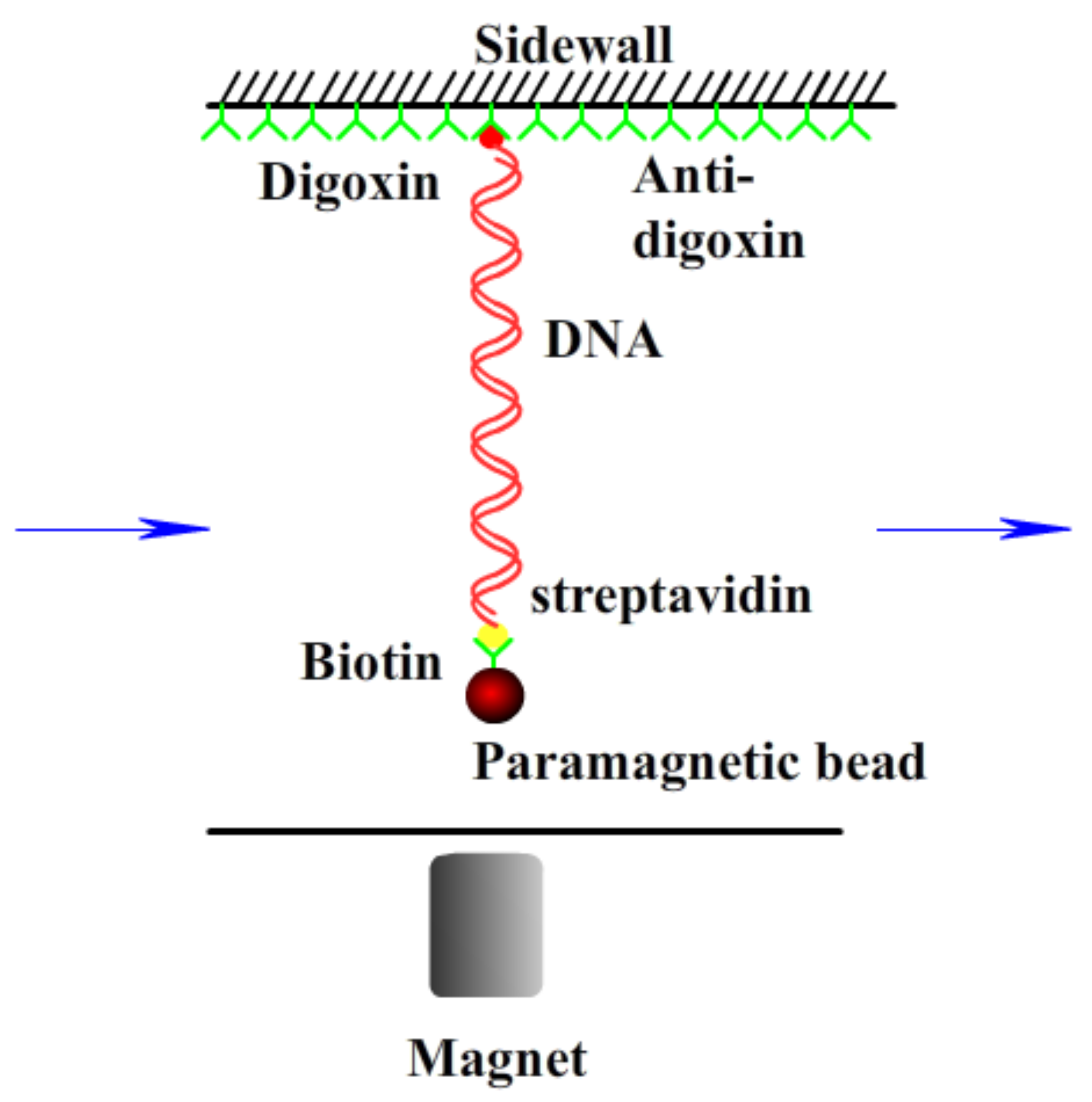 Polymers 10 00394 g001